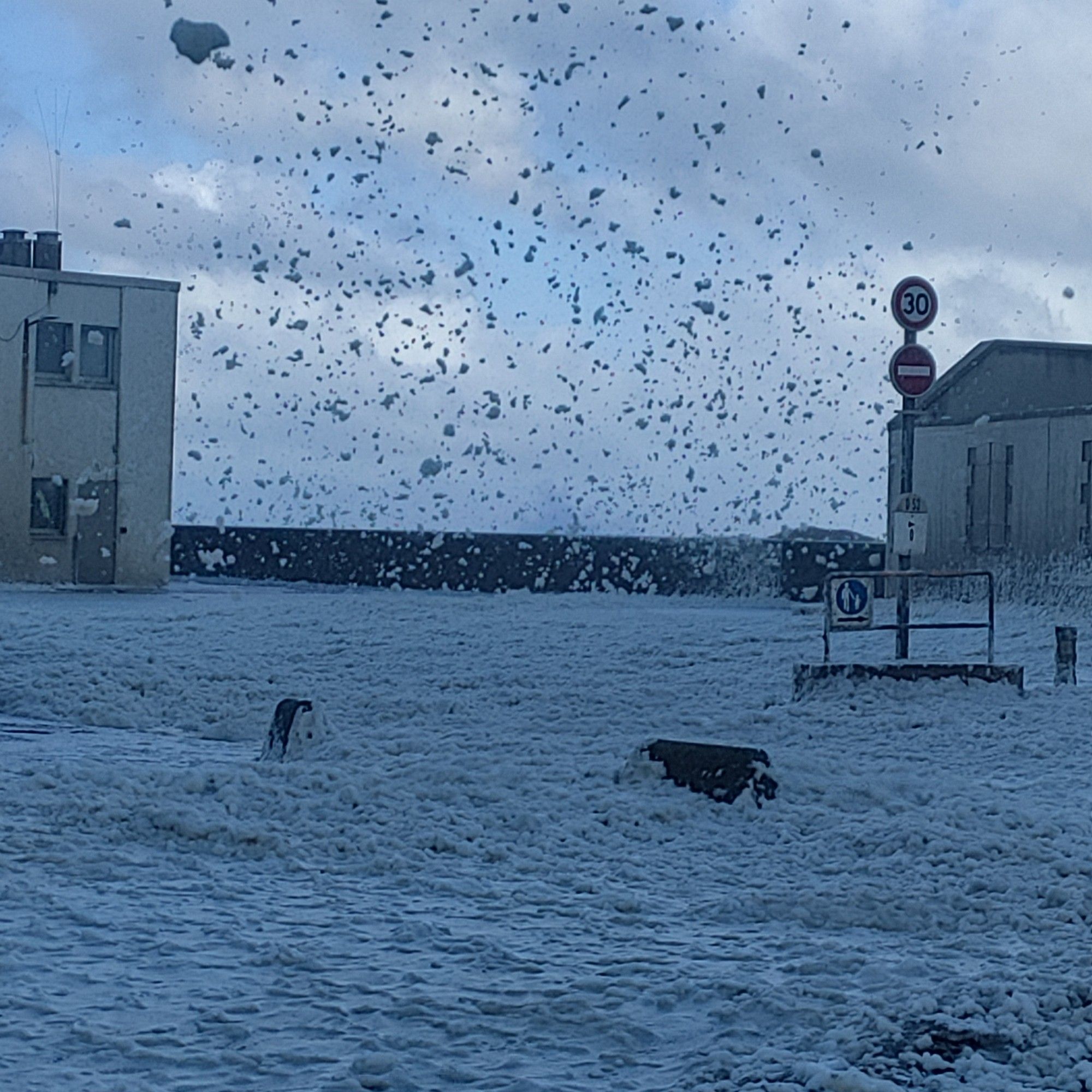 Les nuages d'écume sur le port