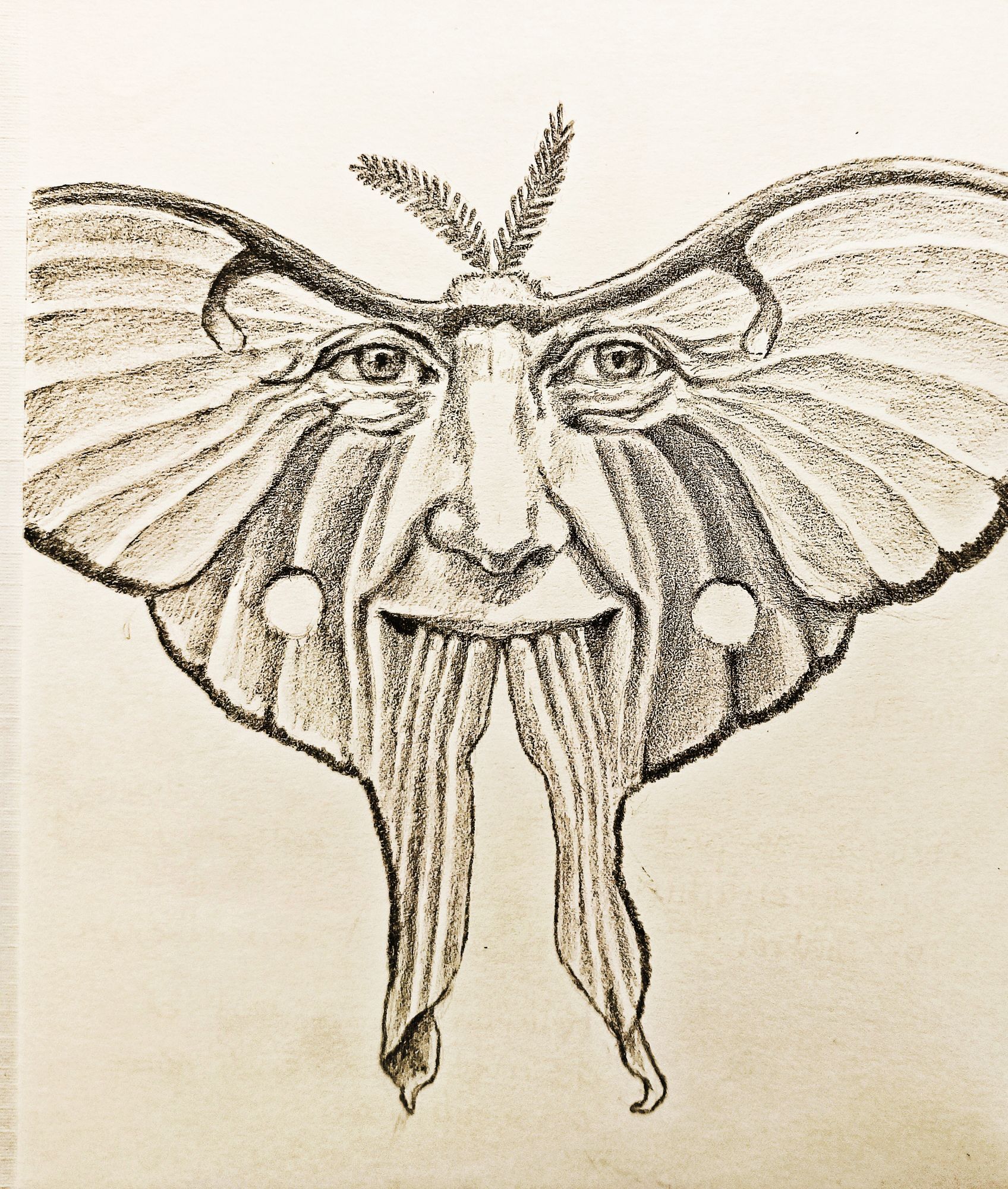 A sketch of a face transitioning into a moth.