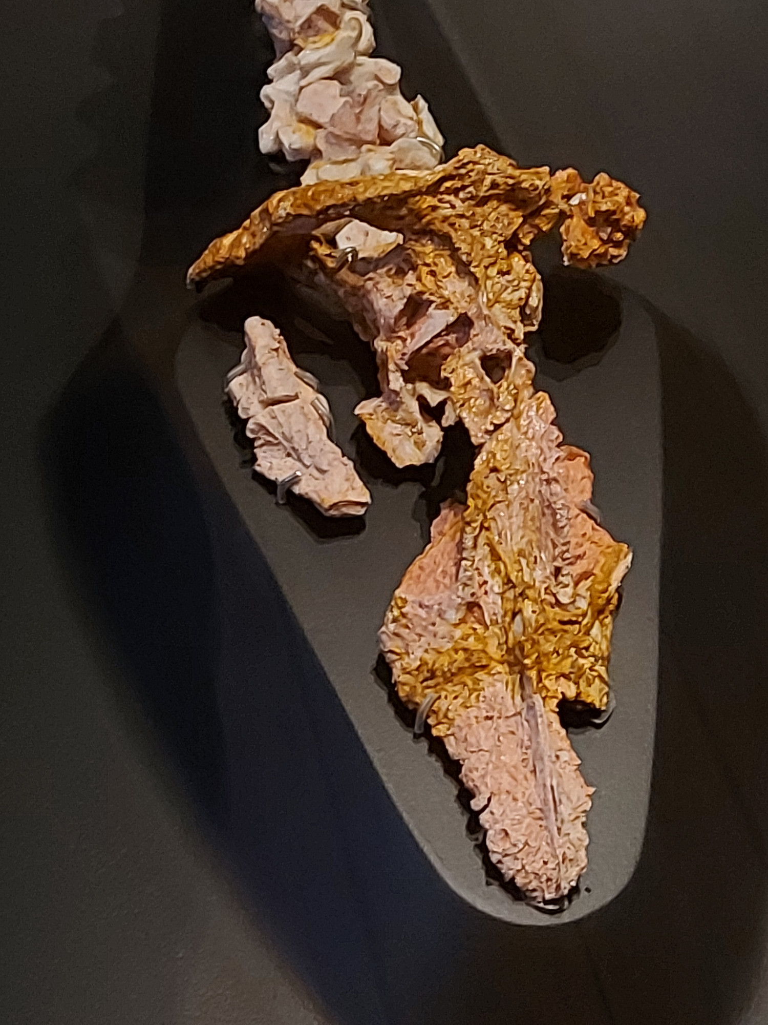 Eric, opalised pliosaur specimen, dorsal close-up of skull remains