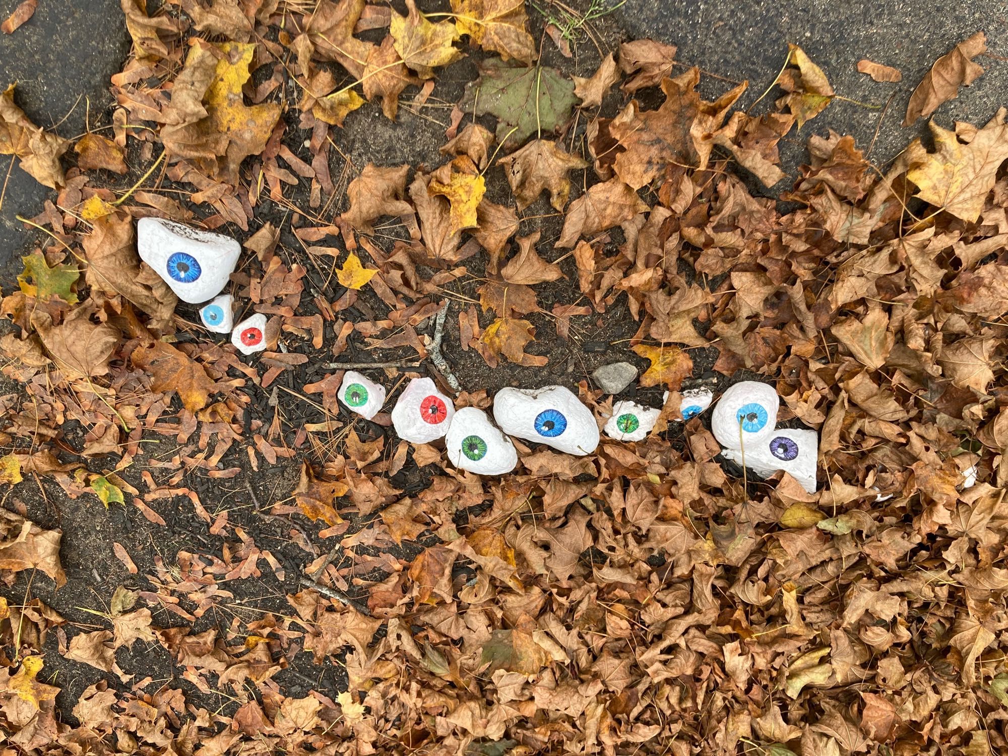 A row of small rocks painted white with different colored eyes against a backdrop of fallen leaves