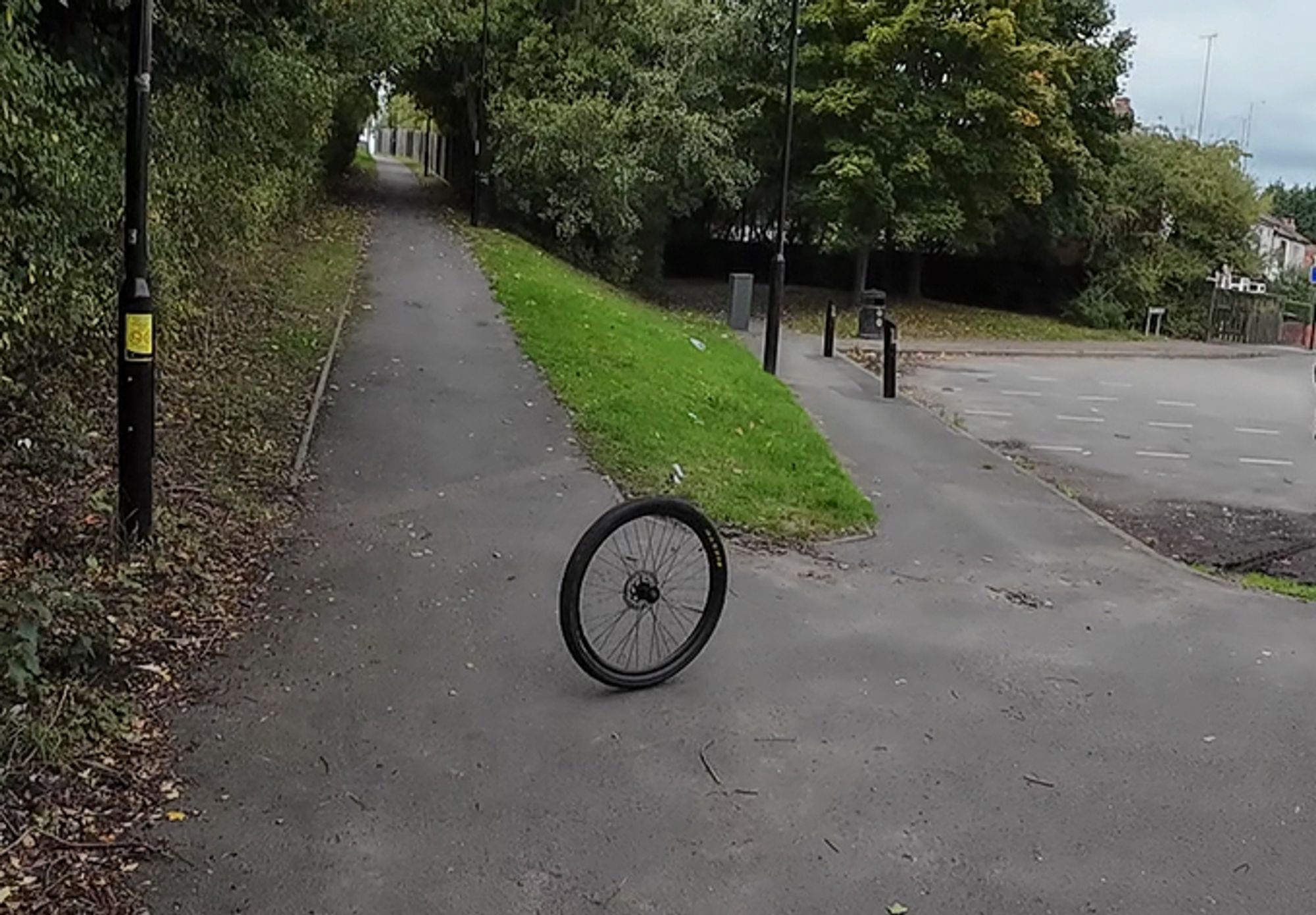 Front wheel of a bicycle rolling across a path with no bike attached.