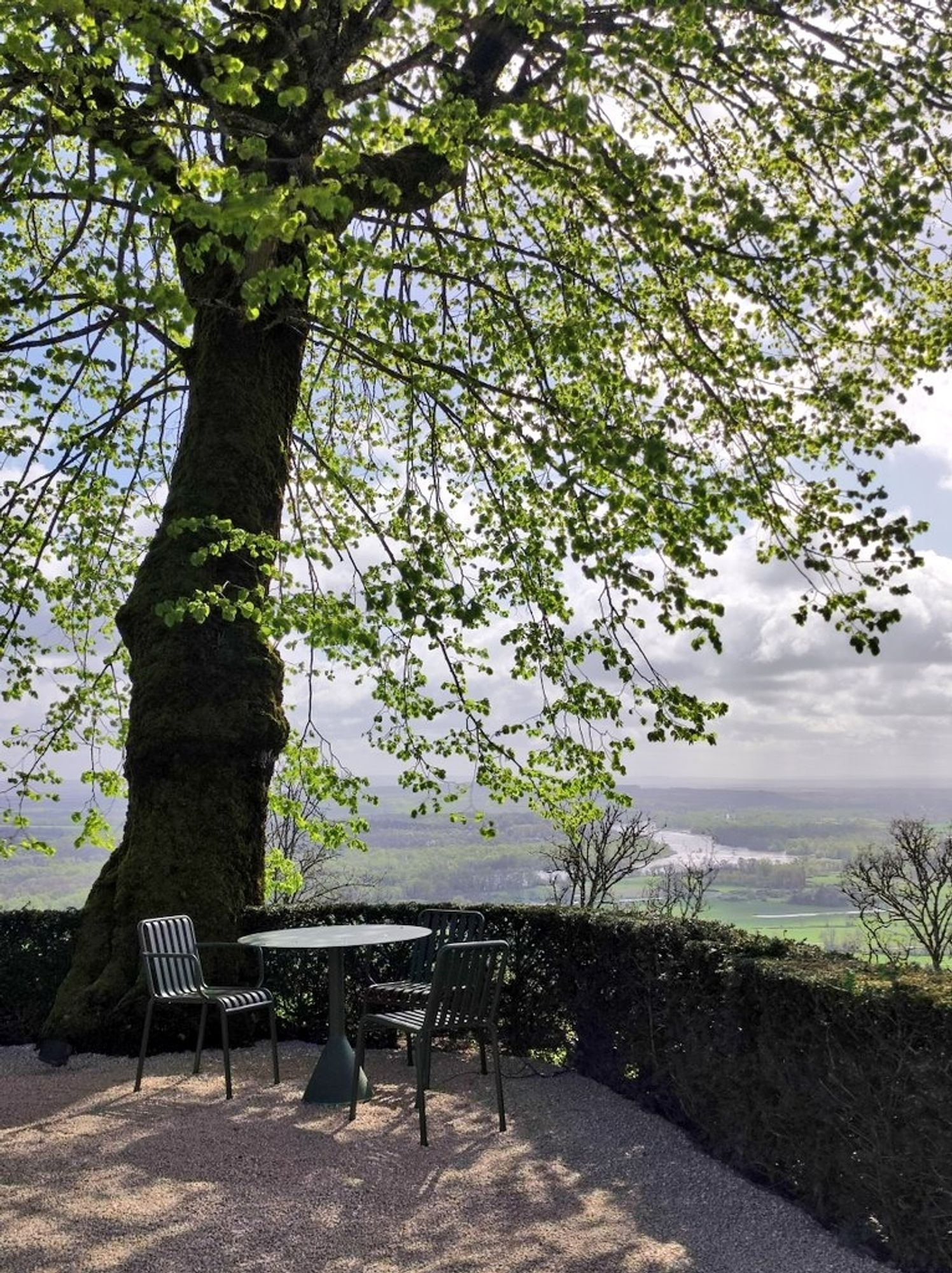 Vue du parc, une table et des chaises sous un tilleul et la vue sur la Loire