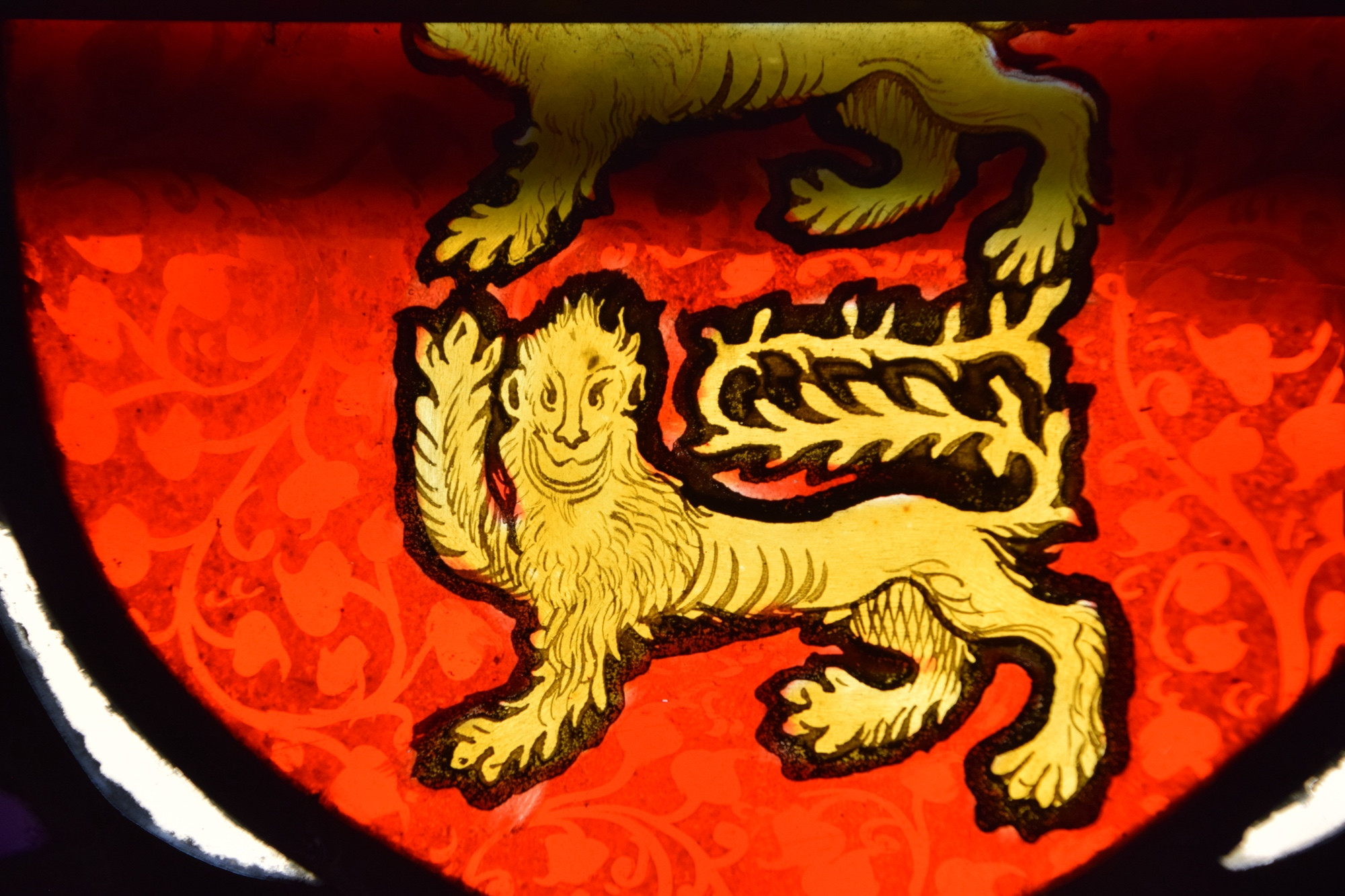Detail of a heraldic lion in a 16th century stained glass window. The lion is gold in color on a red background with a pattern of vines and leaves. The lion had a long, spiky tail that curves over its back and then bends over itself in the other direction. Its ears look almost human, on either side of its head, with a short, spiked up mane. Its mouth is stretched in a wide smile and one paw is lifted straight up beside its head. 