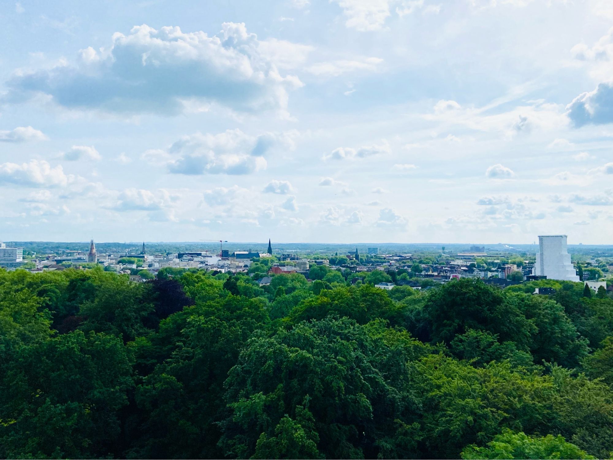 Blick über das Ruhrgebiet. Im Vordergrund Bäume, im Hintergrund Gebäude und ein Kraftwerk.