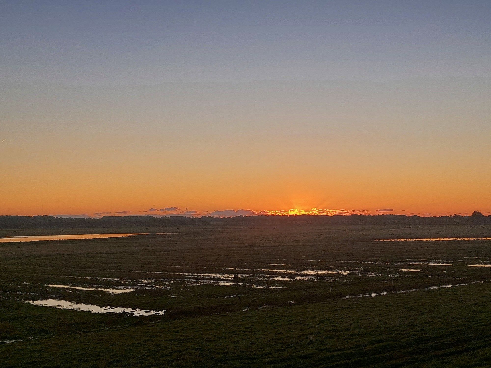 Kurz nach Sonnenuntergang über dem Koog. Auf der Wiese steht Wasser, worin sich das goldene Licht der untergehenden Sonne spiegelt