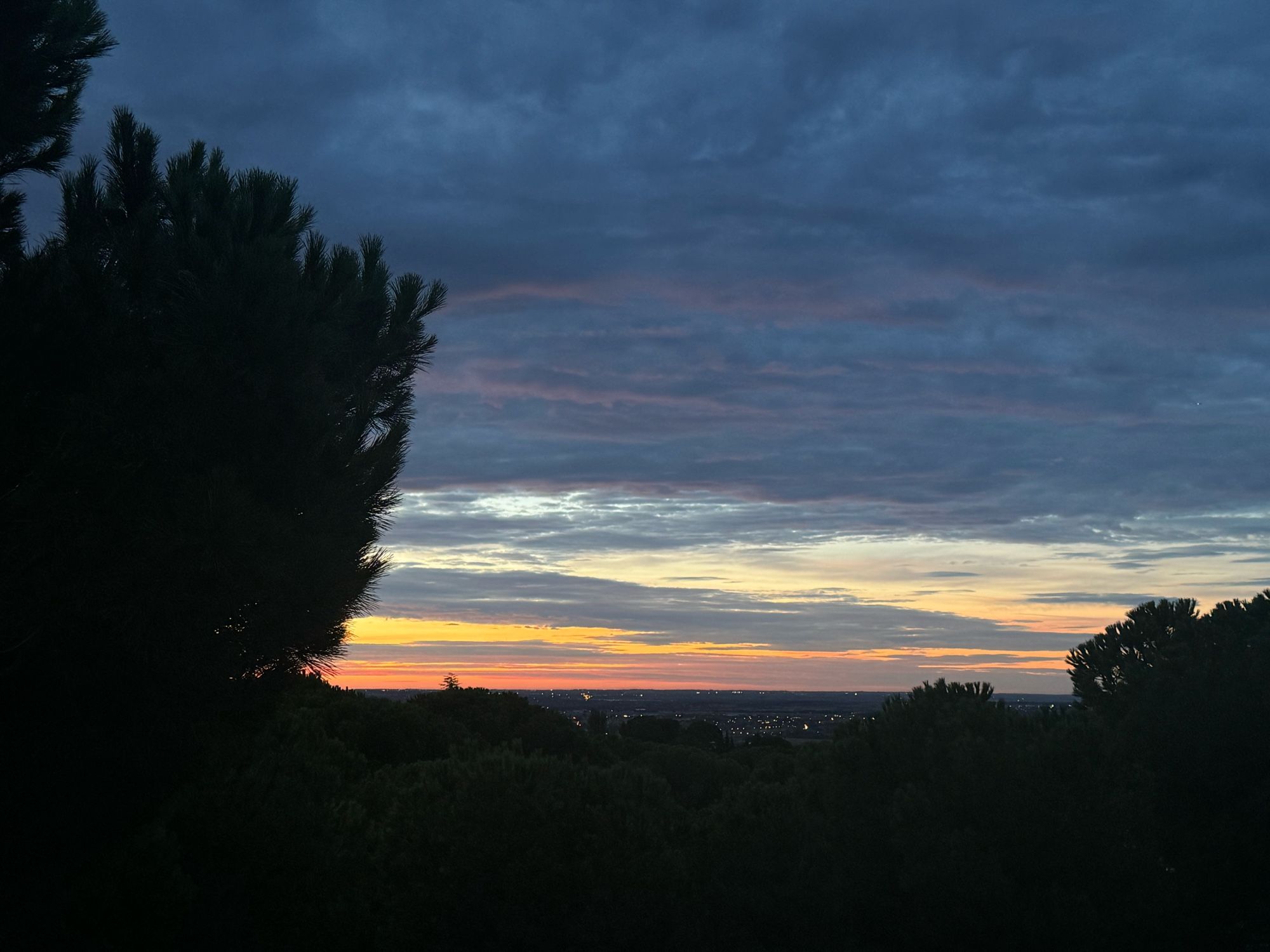 Amanecer madrileño entre pinos