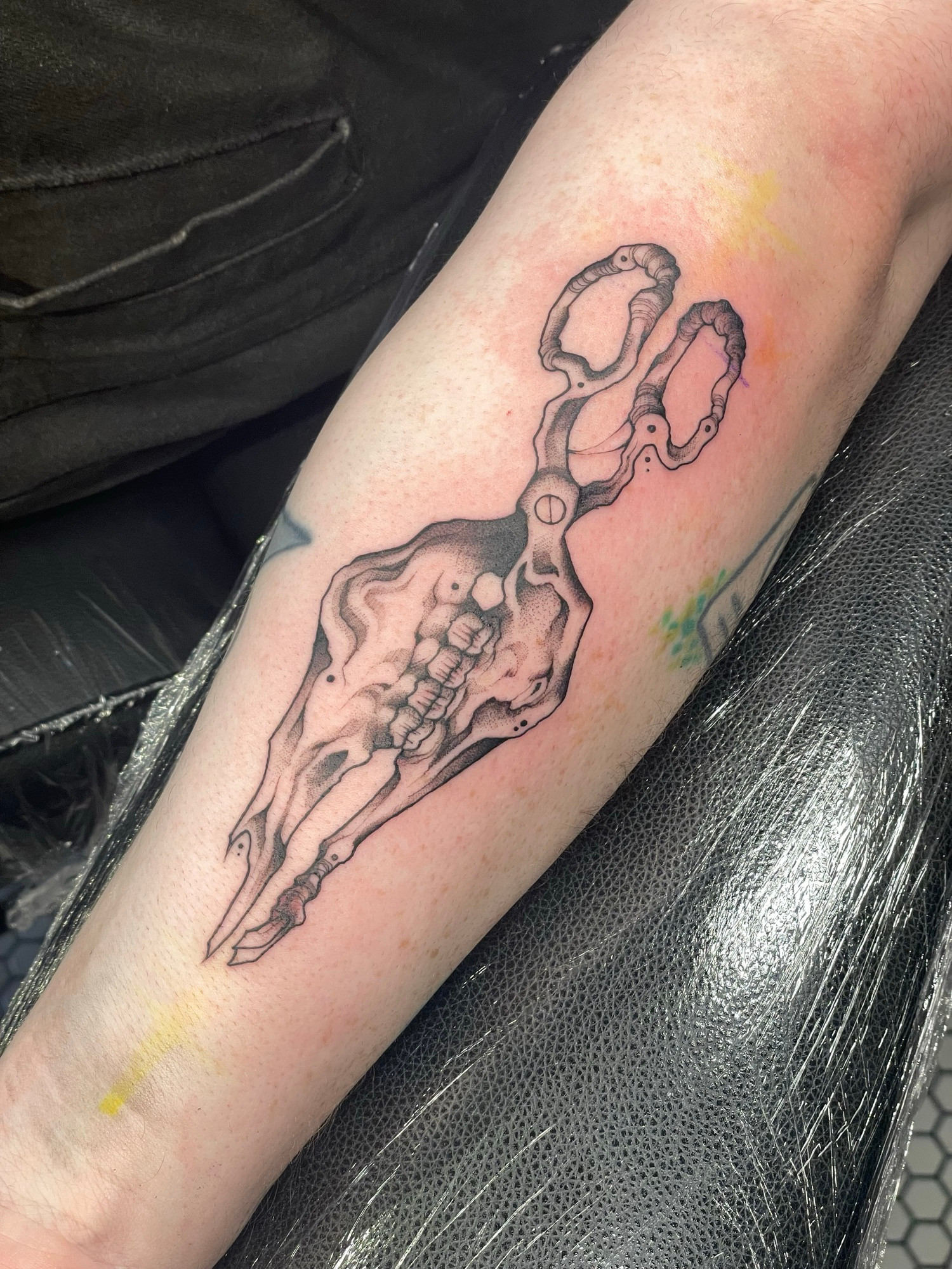 Blackwork jaw forceps tattoo