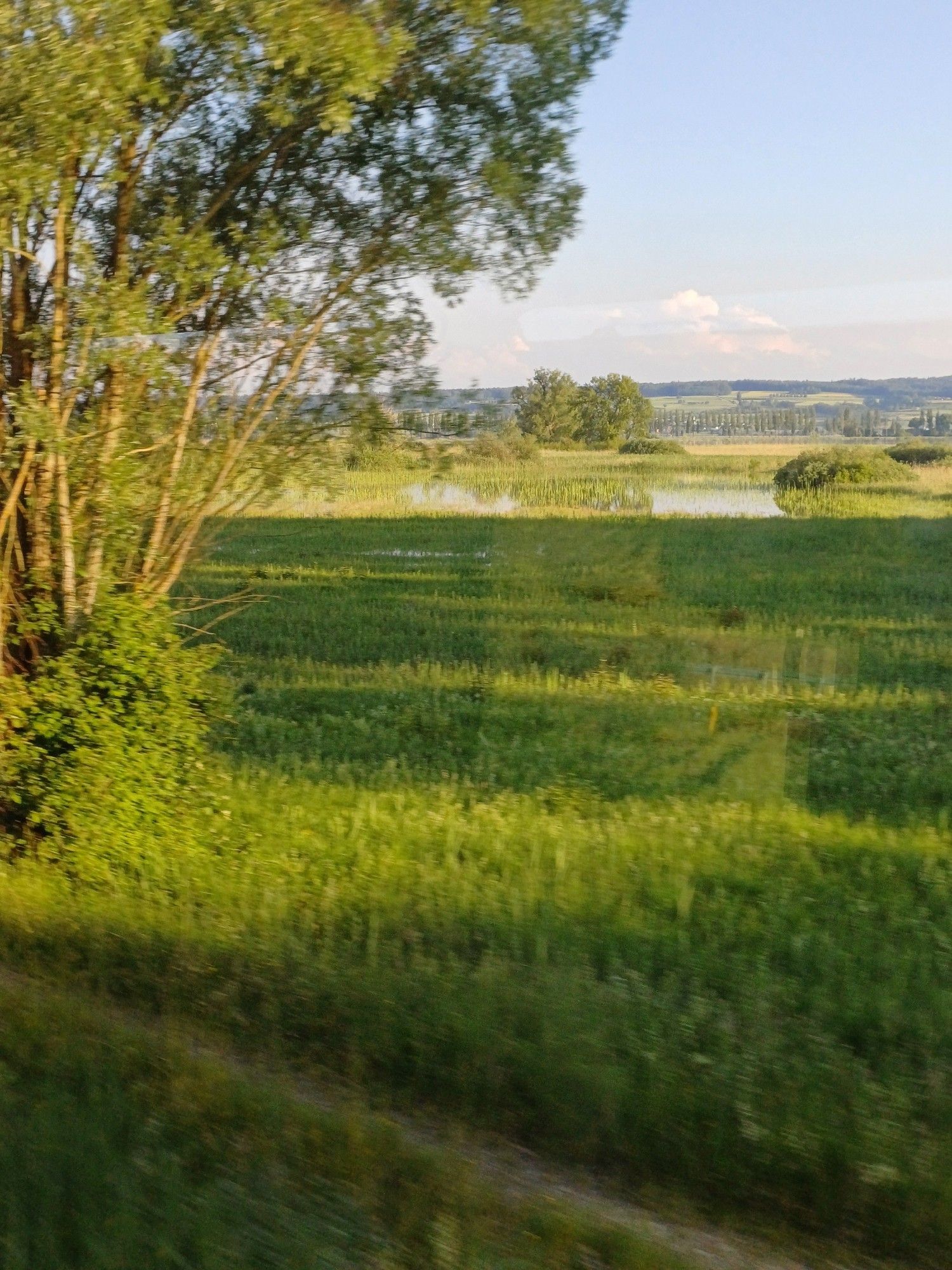 Uferböschung des Untersee. Im Hintergrund die schweizer Uferseite, klein davor die Alle auf dem Reichenau Damm.