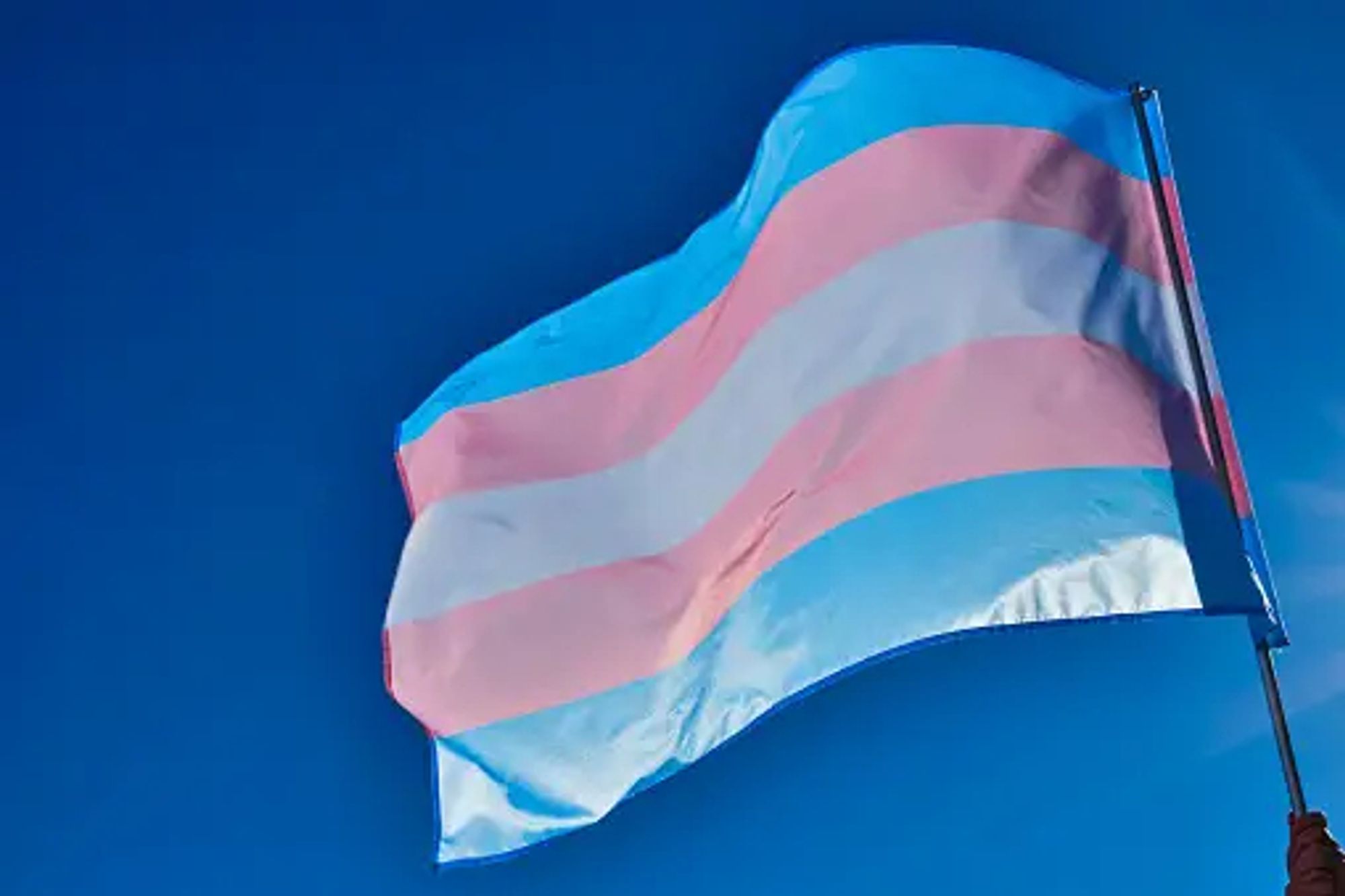 A trans flag flying against a clear blue sky, from which all the clouds have passed.