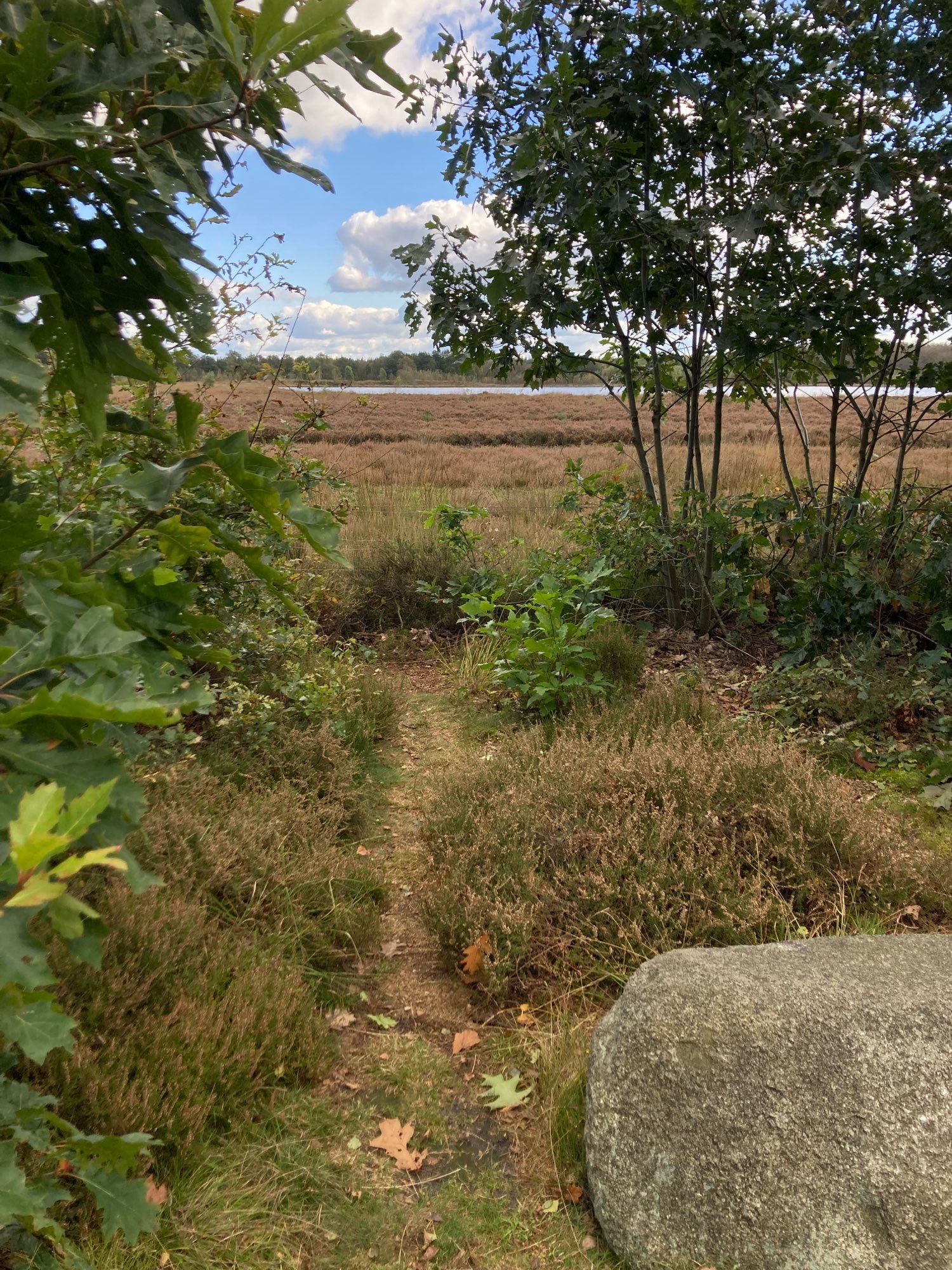 Doorkijkje naar de heide. Op de voorgrond een grote kei.