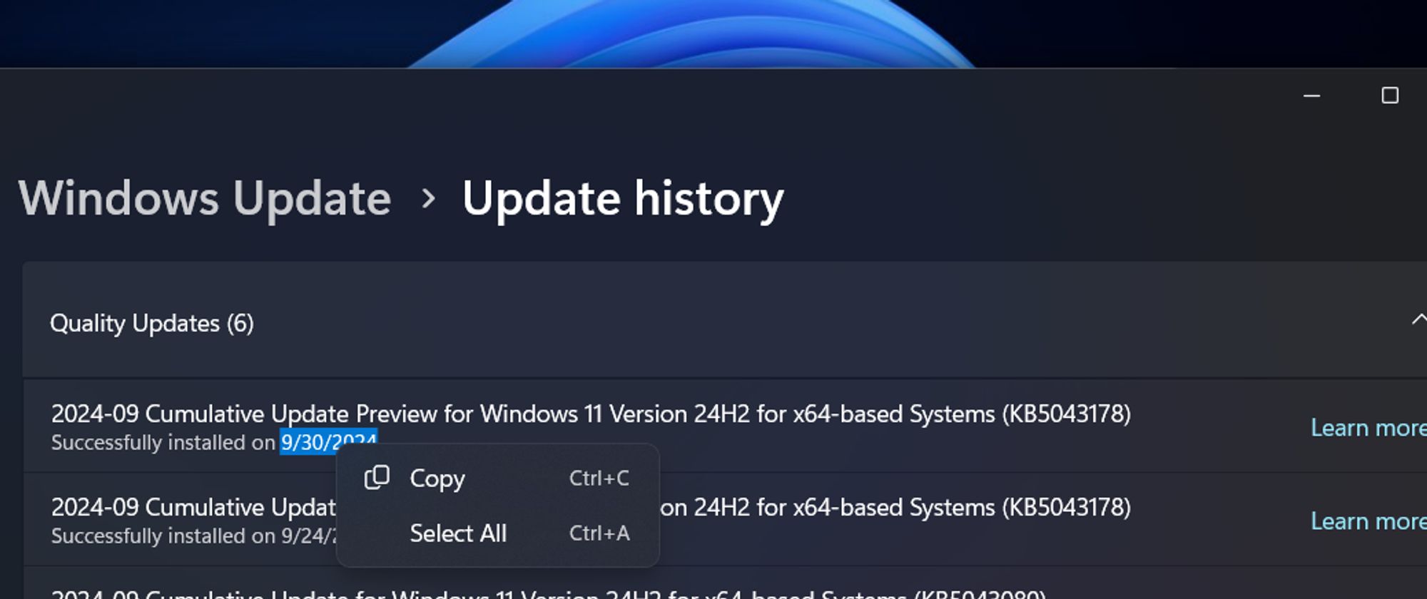 Update history settings in Windows 11 version 24H2. Some characters in the lower line of text for an entry - "9/30/2024" - are highlighted. The user has the option to copy the text or select all text.