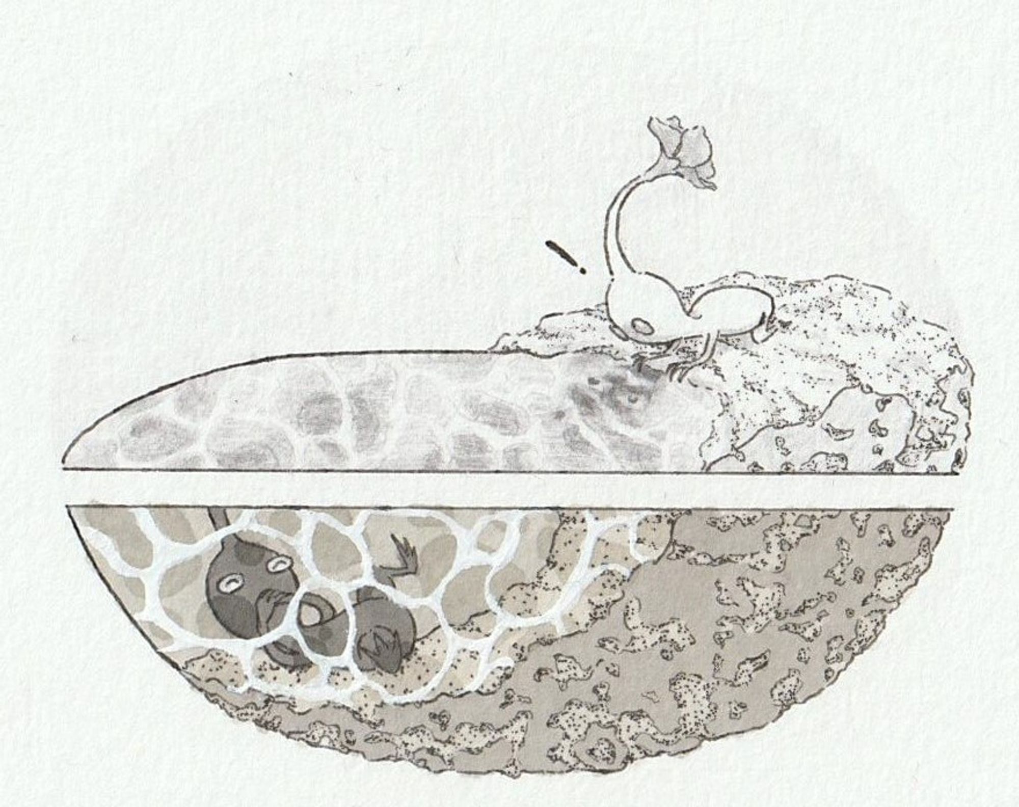 A black and white pencil, fineliner, promarker and watercolor drawing of a White Pikmin looking at it's reflection in the water and being surprised to see a Blue Pikmin in the reflection.
The second part of the drawing shows a blue Pikmin laughing under the water. 

The two parts of the drawing are separated by the white of the page and each use a different medium. The White Pikmin part is shaded with graphite pencil and the Blue Pikmin part with promarkers.
White watercolor was used to draw the water effect on the Blue Pikmin part.