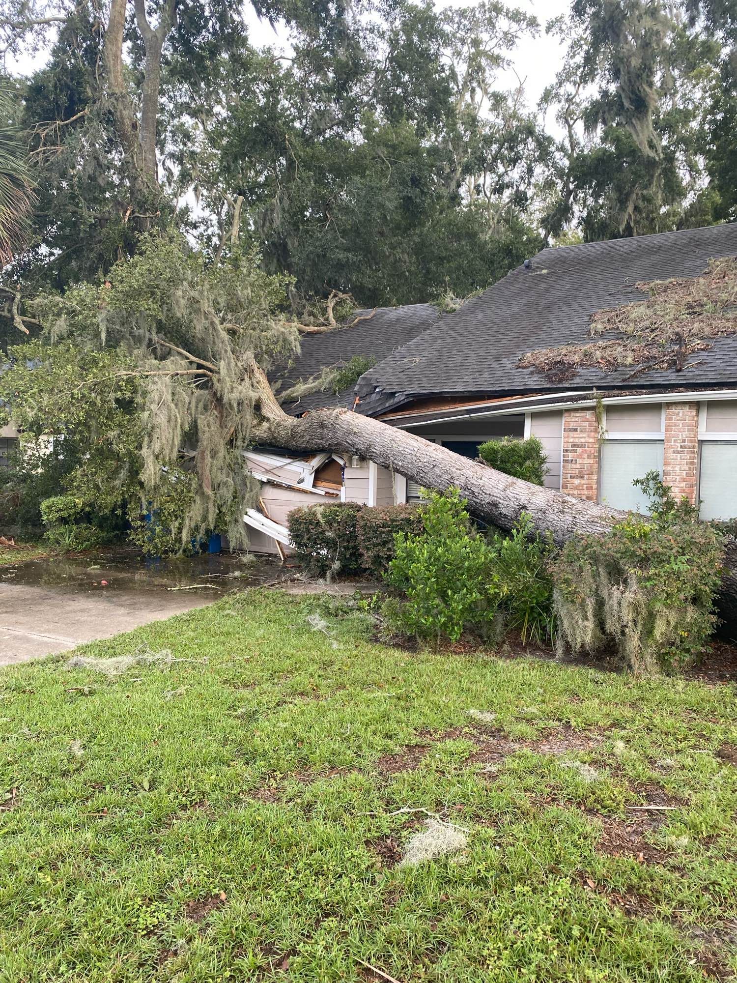 Live oak tree fallen across the entranceway and garage of a house, structure damage to the top of the garage.