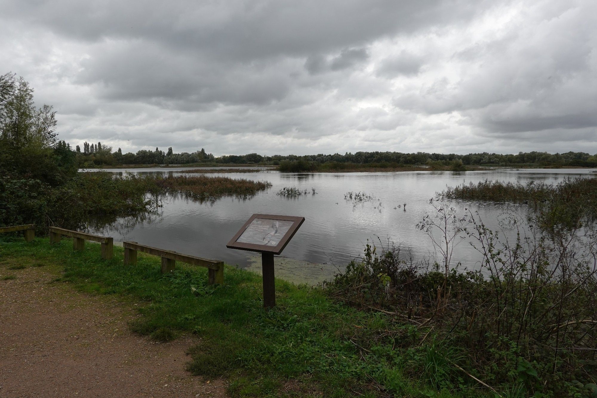 Elney viewpoint