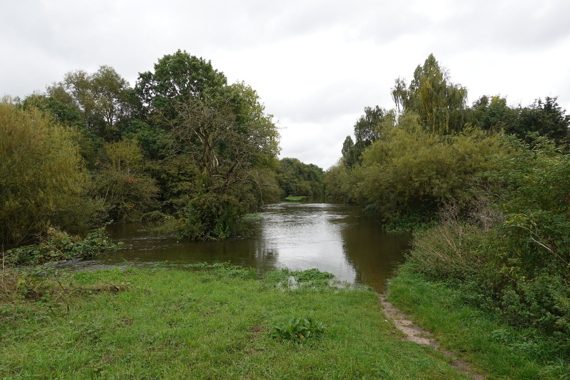 Water flows through the reserve and then back out into the river, definitely not somewhere to wade into.