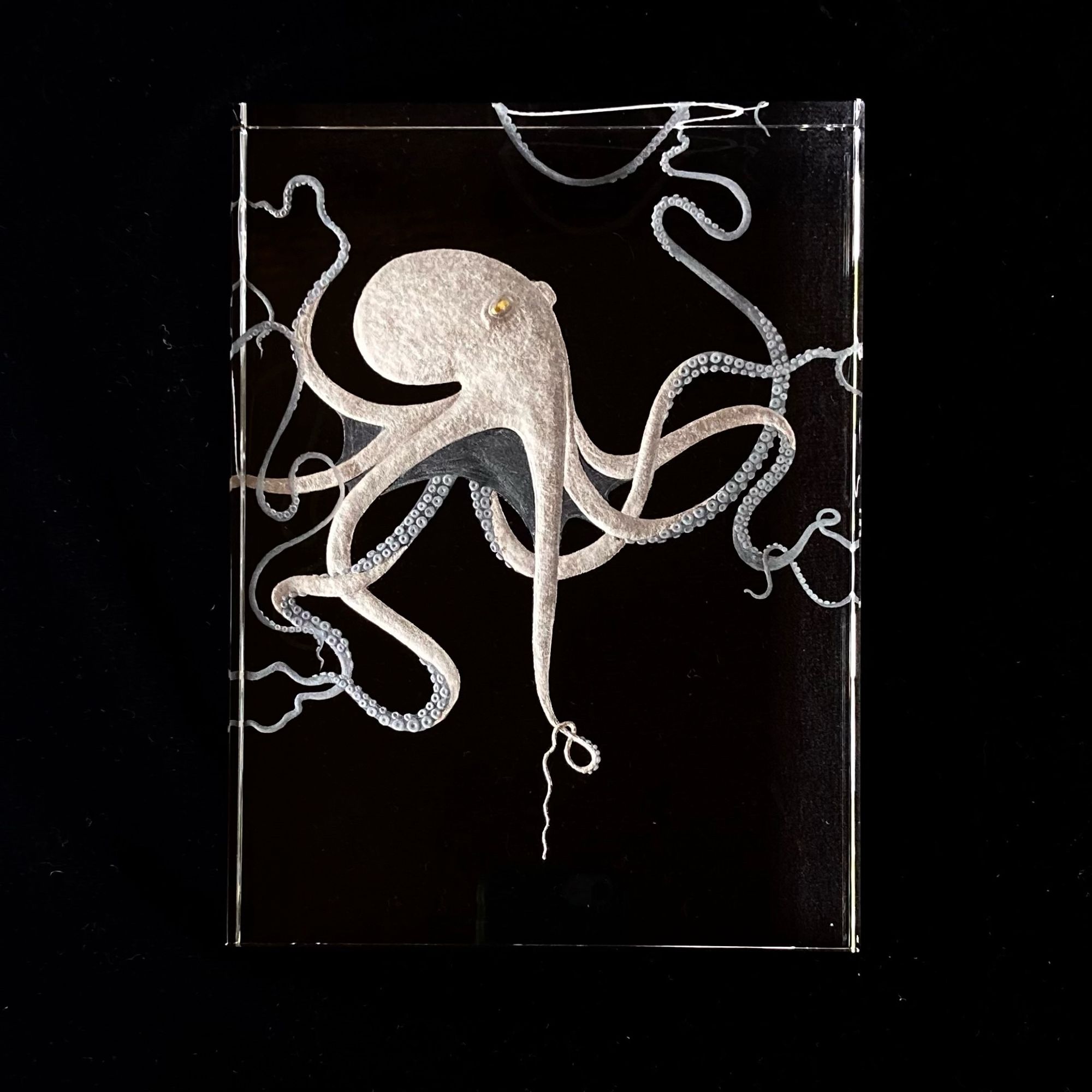 Engraved octopus on glass block.