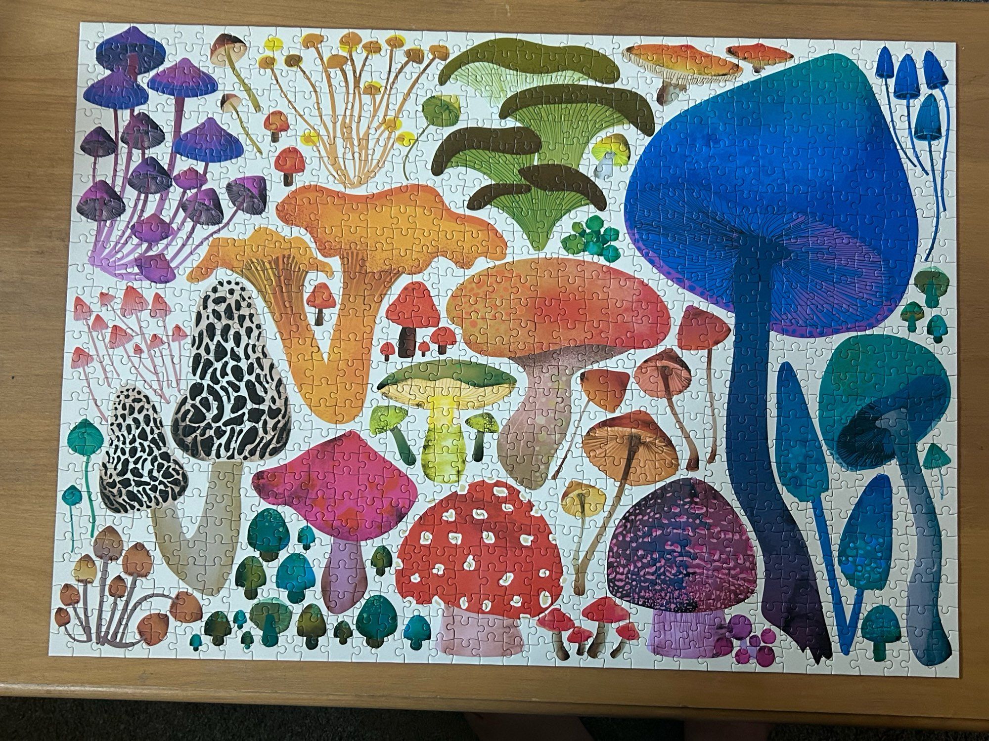 Various mushrooms in different colors as a 1,000 piece puzzle.