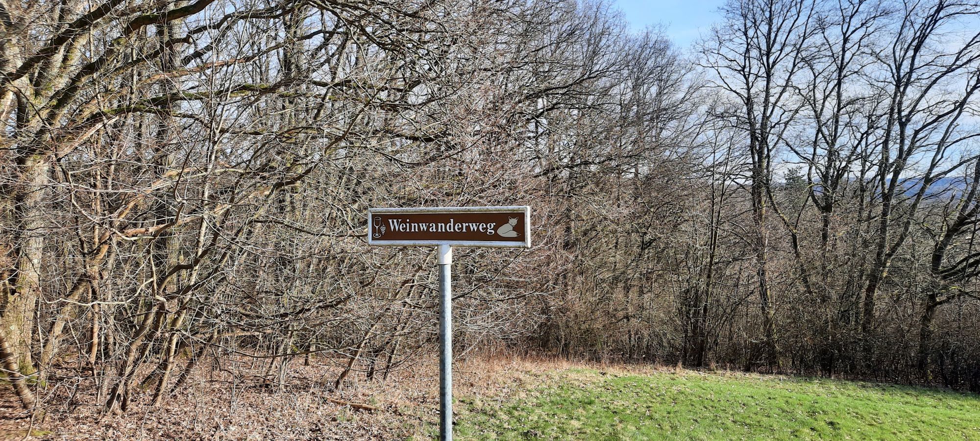 Blick auf trockene, kahle Bäume und eine grüne Wiese, auf der ein Schild mit der Aufschrift "Weinwanderweg" steht.