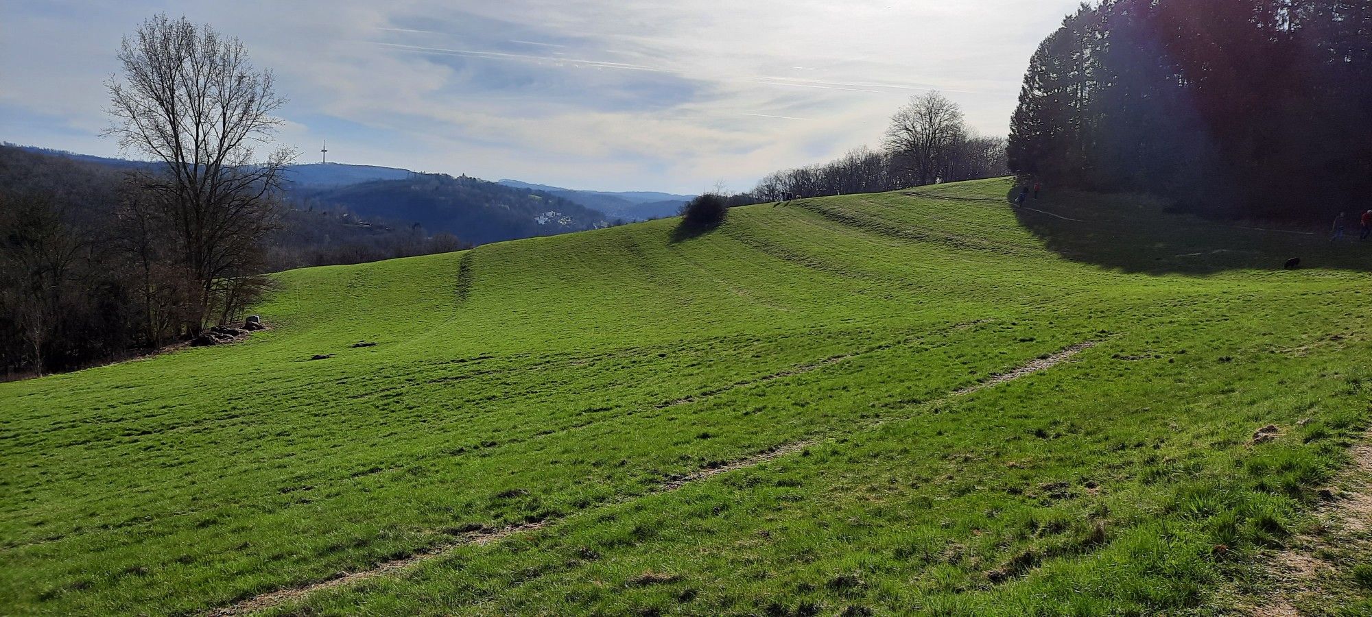 Weiter Blick auf eine hügelige grüne Wiese mit Baumgruppen an den Seiten. Blauer Himmel mit verwischten weißen Wolken.