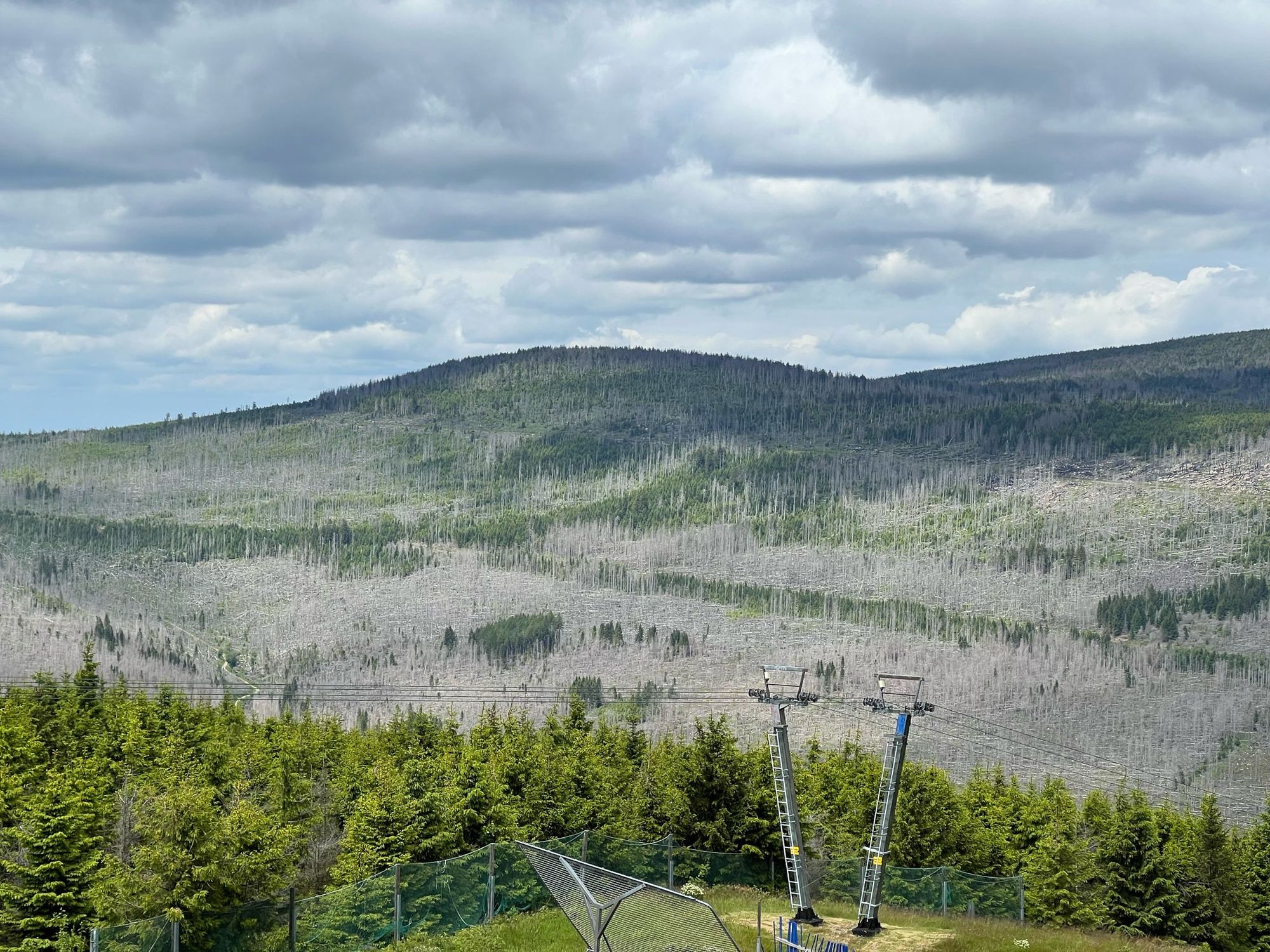 Blick vom Wurmberg in Richtung Brocken. Ca. 90% des Waldes ist grau, besteht also aus toten Fichtenbäumen.