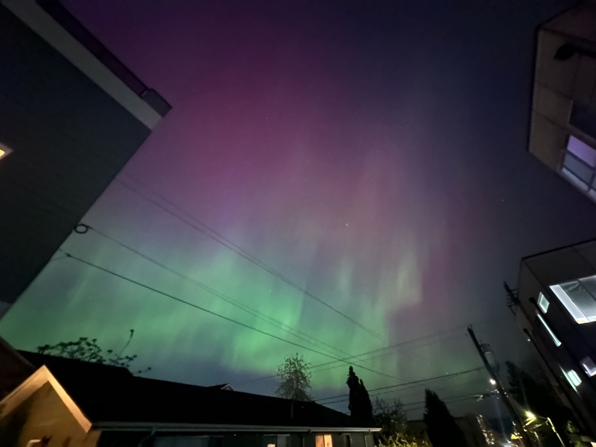 Midnight aurora billowing over north Seattle, WA