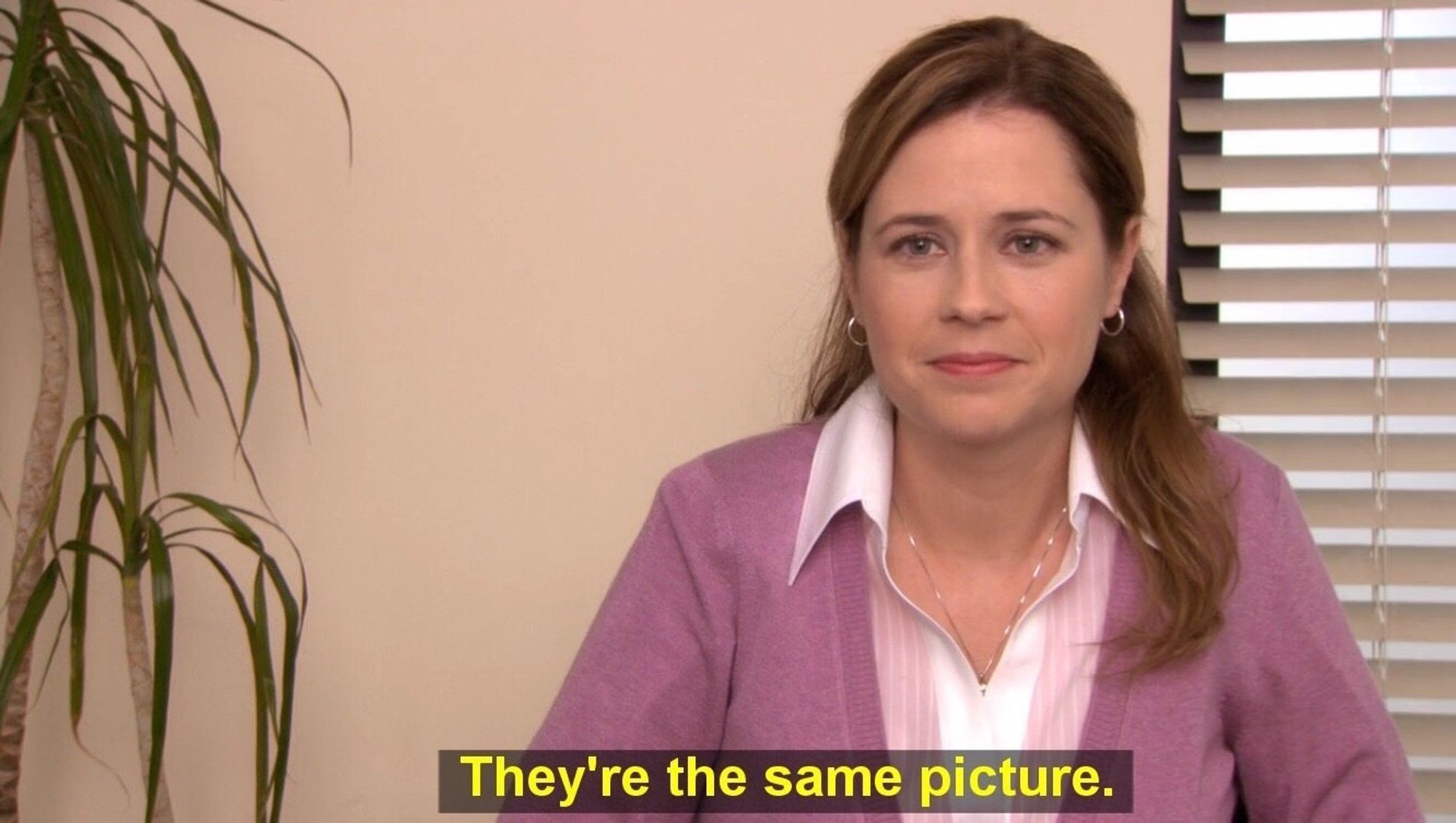 The “They're The Same Picture” meme from the office: pam in a pink cardie has a faint mischievous smile as she says “They're the same picture”. Beside her to our left is a droopy office plant; behind her the venetian blind of an internal office window. The colour of the wall has no name.