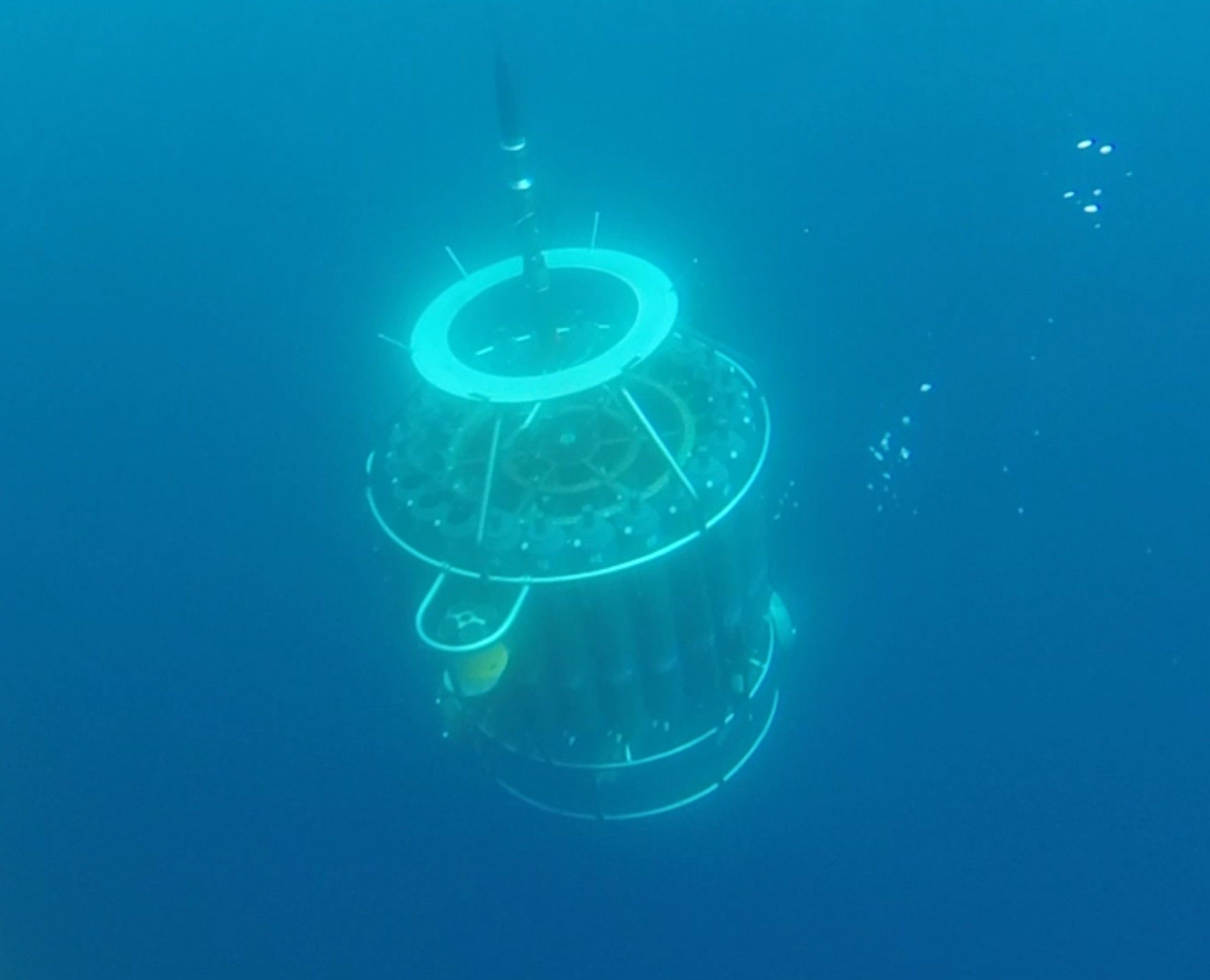 Photo of a CTD rosette under water. It is an oceanographic device equipped with sensors and bottles, used to collect water samples and measure different properties of the ocean, like temperature and phytoplankton abundance, at various depths.