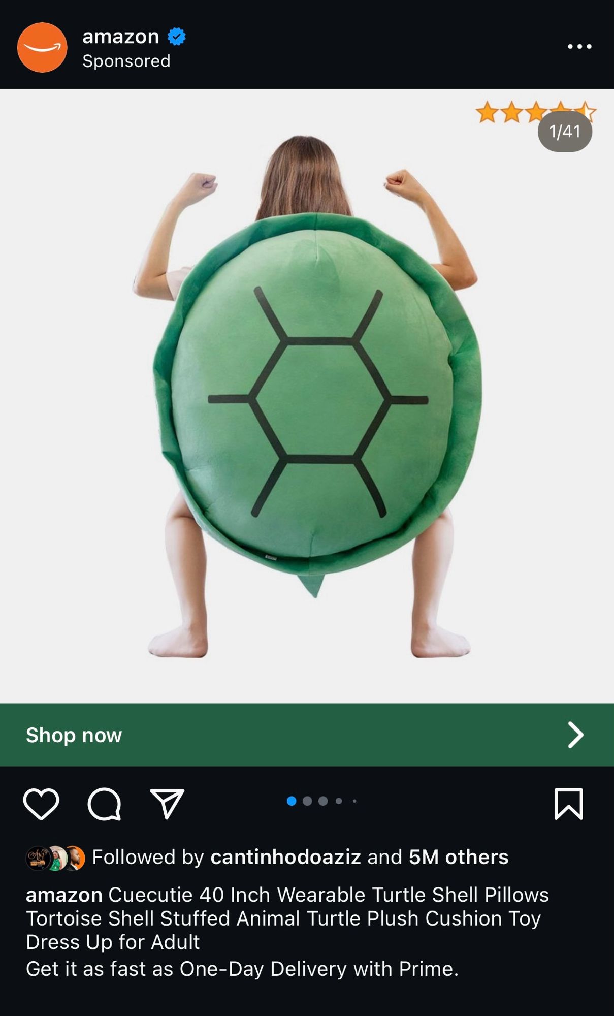 Woman in a plush turtle shell costume