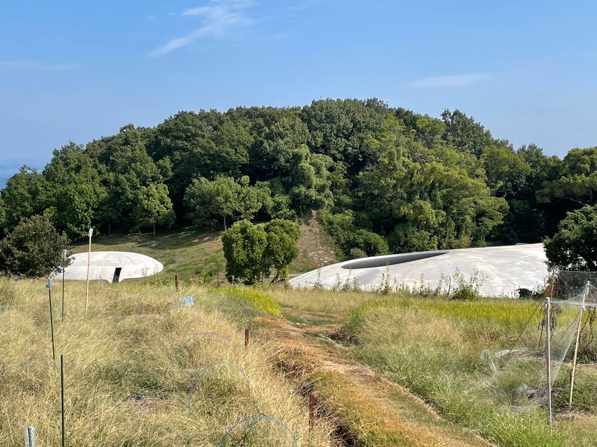 Two concrete domes on a grassy tree lined area