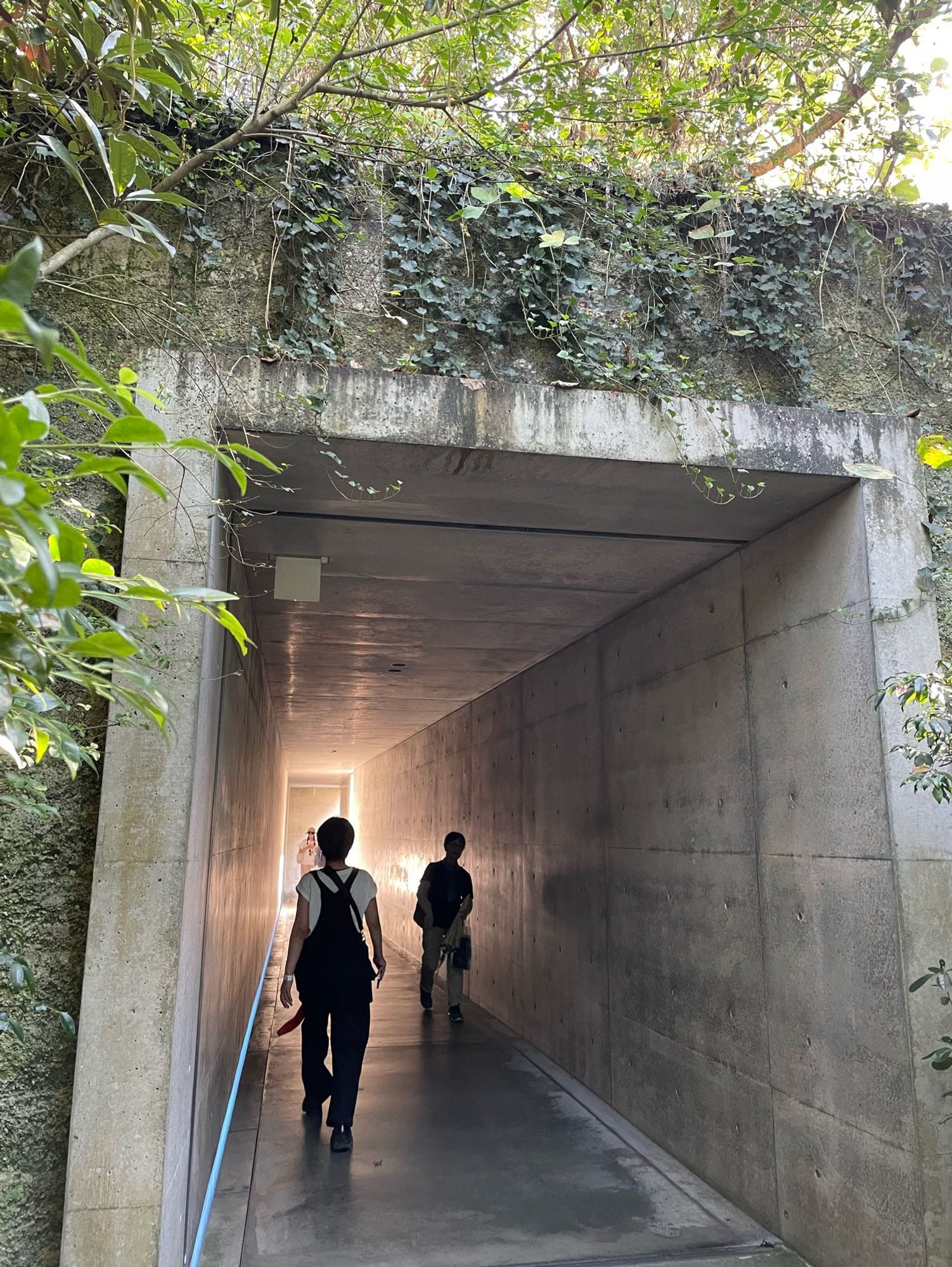 People walking down a concrete passage with light and the end and greenery at the entrance