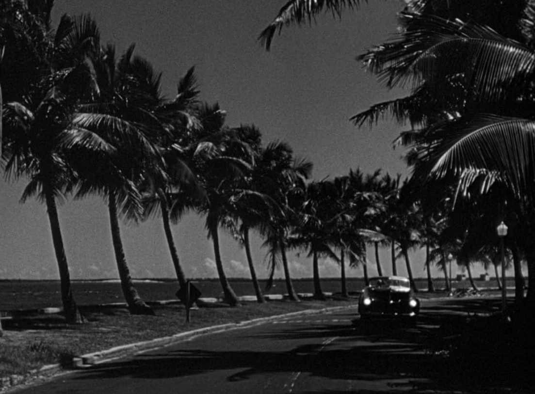 an image of a car driving down a palm tree-lined highway, open ocean to the left