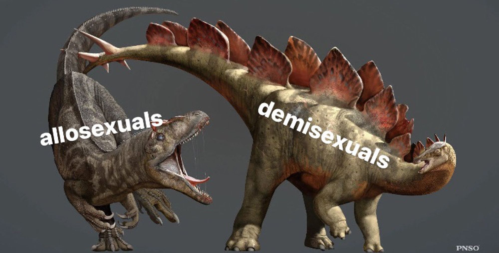 allosaurus menacing a stegosaurus. 
the allosaurus is labeled “allosexuals” and the stegosaurus is labeled “demisexuals”

Watermarked pnso