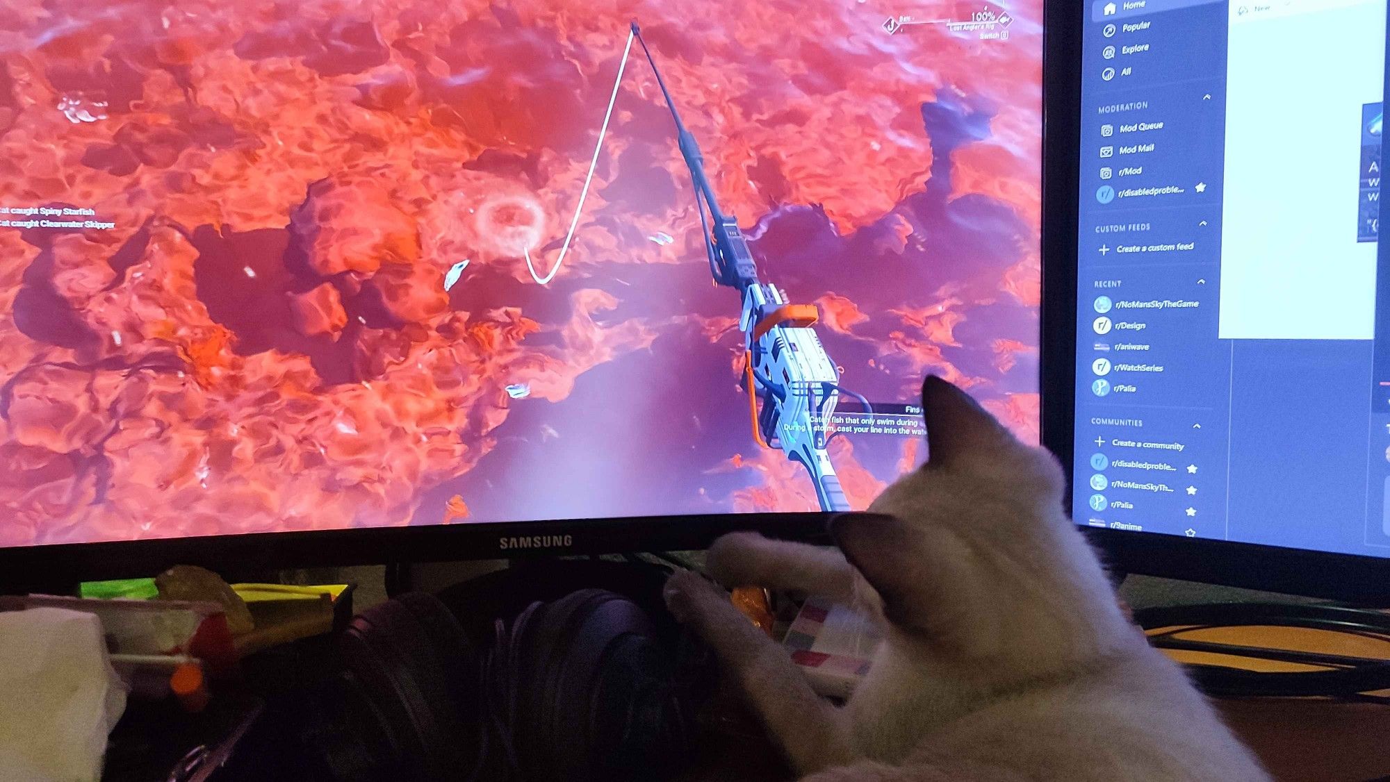 Abu, a lynx point kitten, sitting at the corner of the computer screen watching the screen while I fish in No Man's Sky