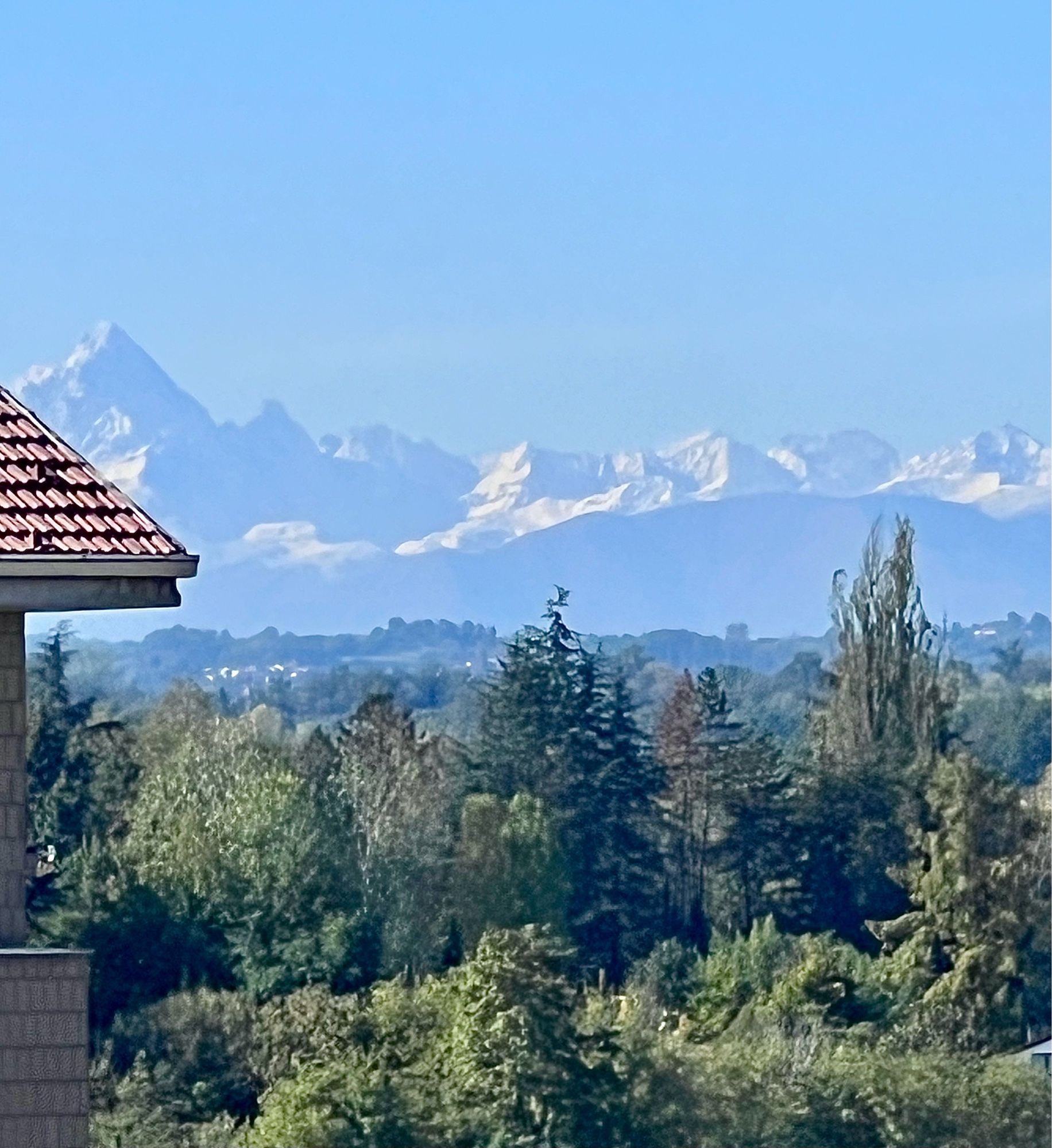 Monviso e Alpi, alberi e una porzione di tetto