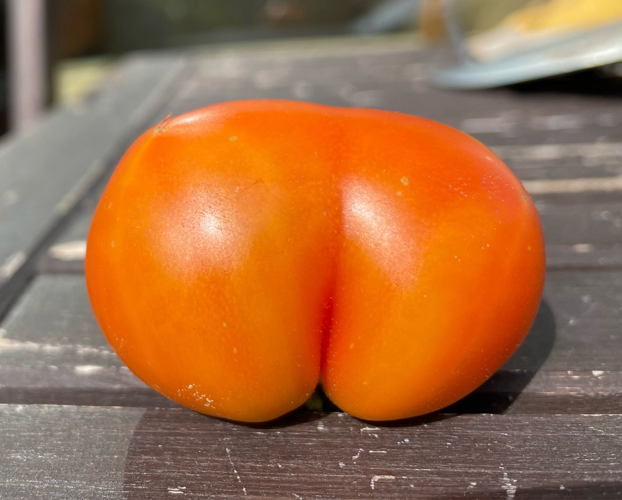 Ripe orange tomato that looks like a bum.