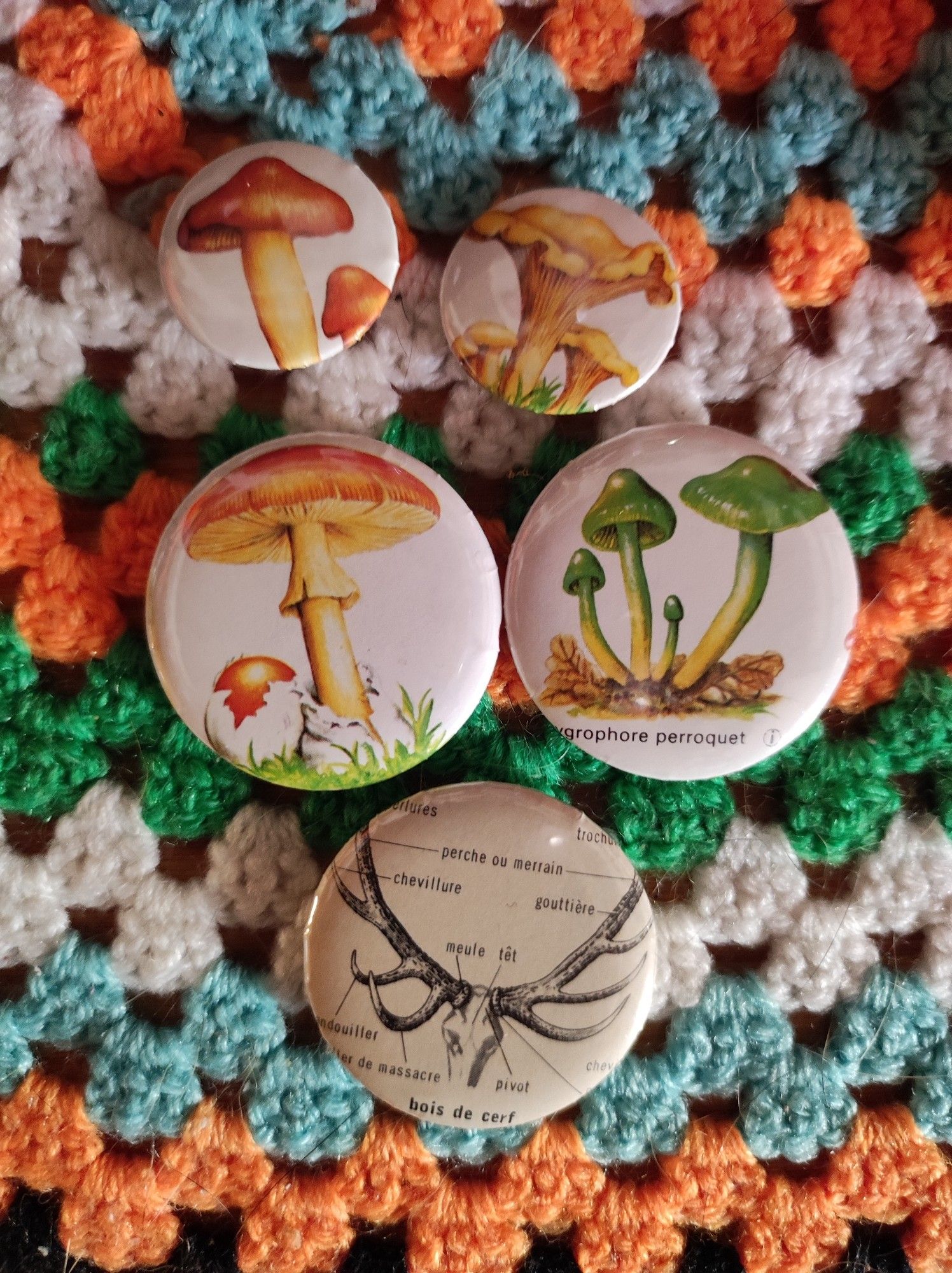 Quatre badges champignons et un bois de cerf