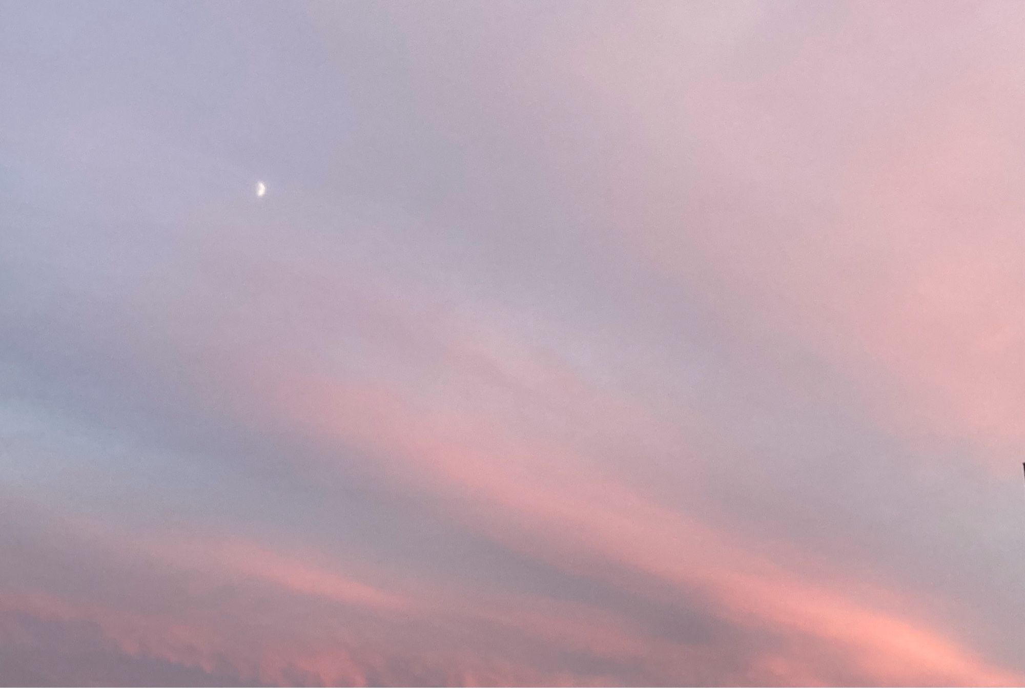 南東の淡いピンクの夕焼け雲に浮かぶ九日月