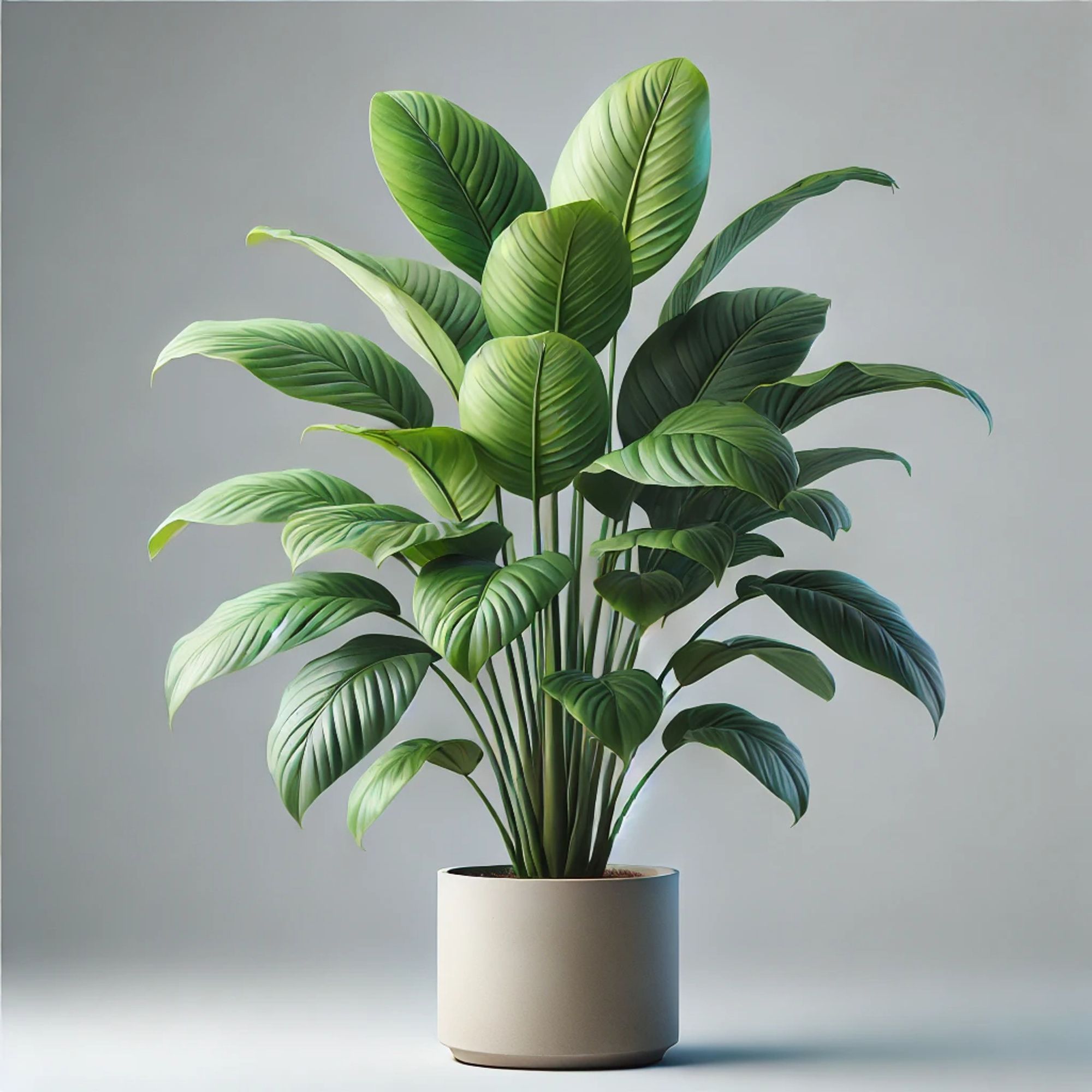 An image of green plant in a vase