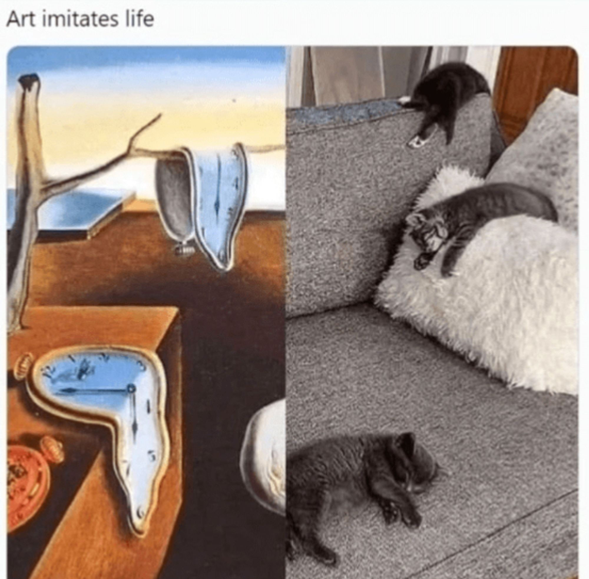 “Art imitates life” Pic 1: Salvador Dali’s Persistence of Time (melting clocks) Pic 2: an amazing recreation of Dali’s piece but instead of melting clocks, it has 3 fluffy kittens asleep on a couch in funny positions, like a kitten draped of the arm of the couch, one curled on the seat, and the third kitten over the top of a fuzzy pillow.