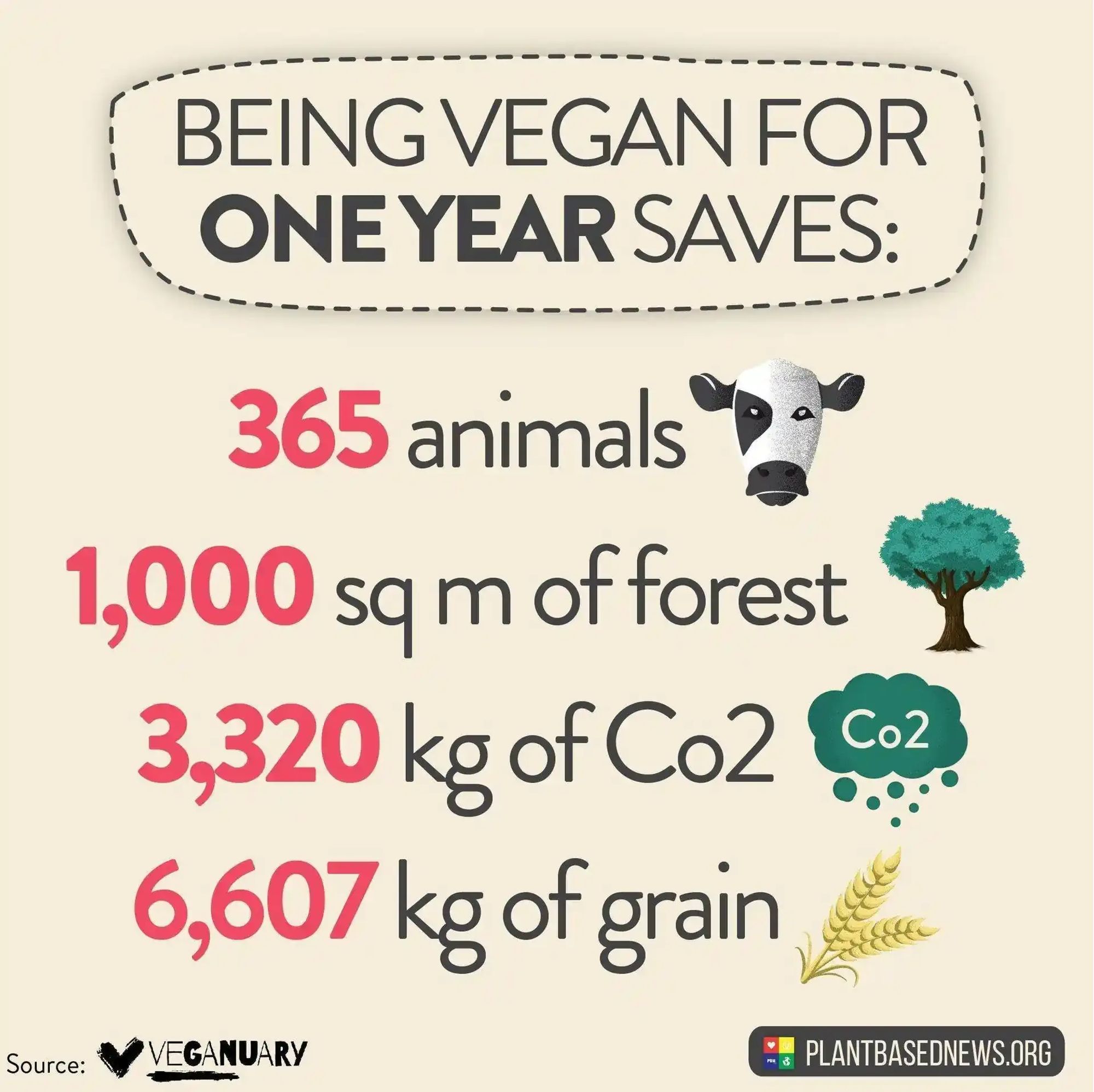 Being vegan for one year saves:
365 animals
1,000 sq m of forest
3,320 kg of Co2
6,607 kg of grain

Source: Veganuary
plantbasednews.org