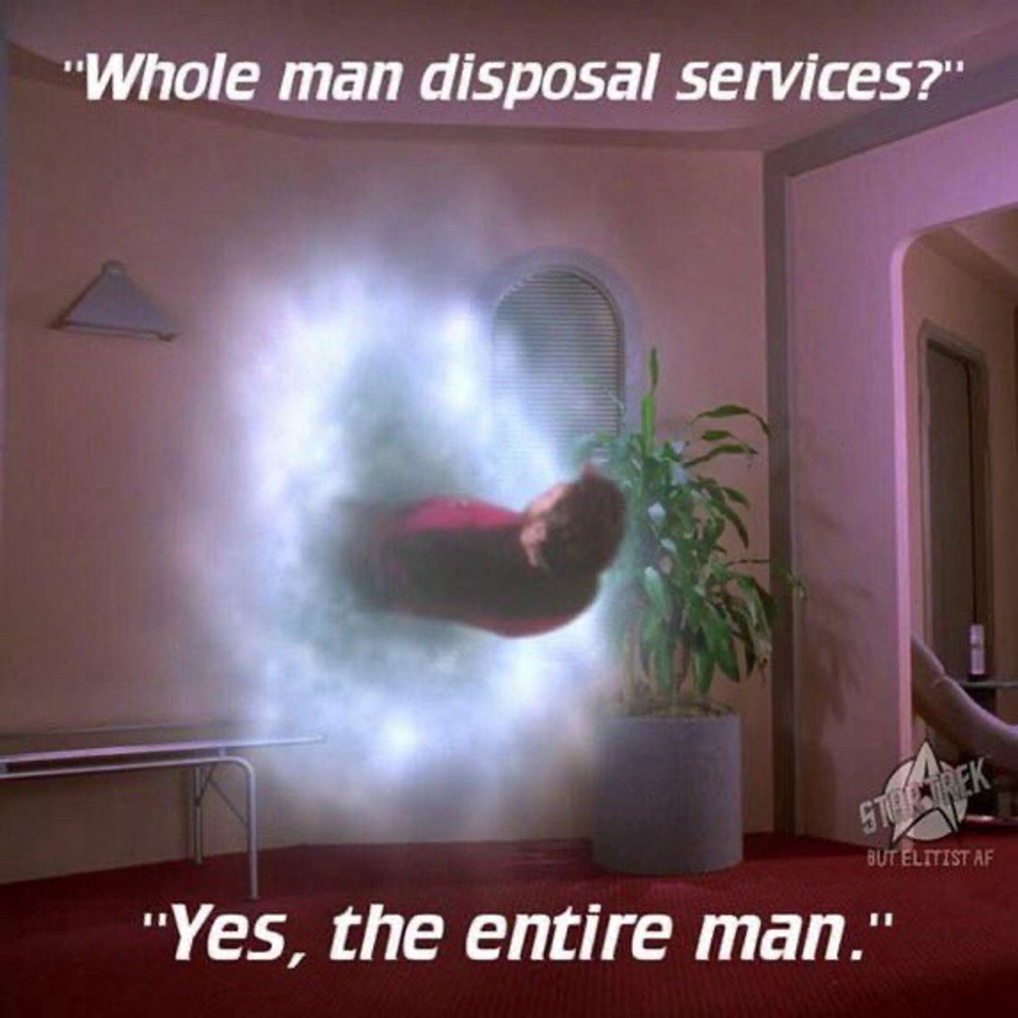 Riker from Star Trek half disappearing into a wall with text “whole man disposal services / yes, the entire man”