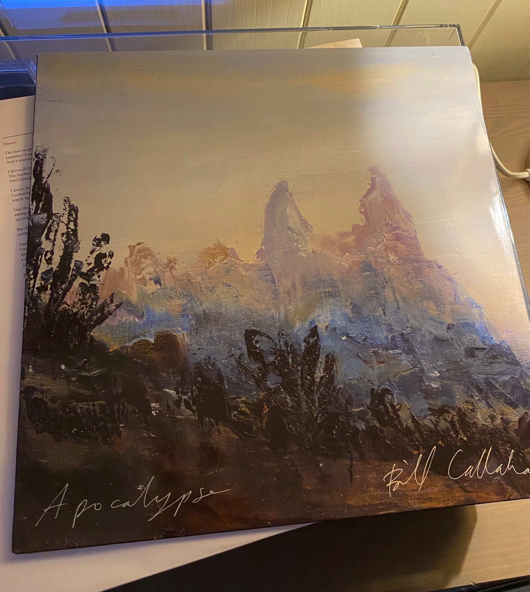 Cover of Apocalypse LP by Bill Callahan - an oil painting of mountains, trees, sky.