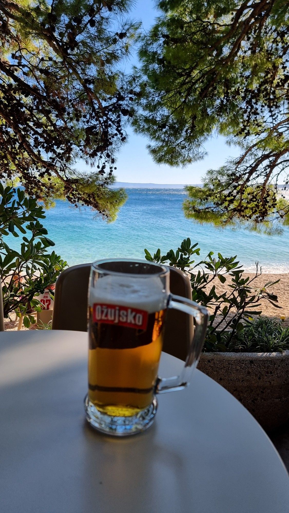 Ein großes Ožujsko, im Hintergrund das blaue Meer, Schirmföhren hängen von oben ins Bild.