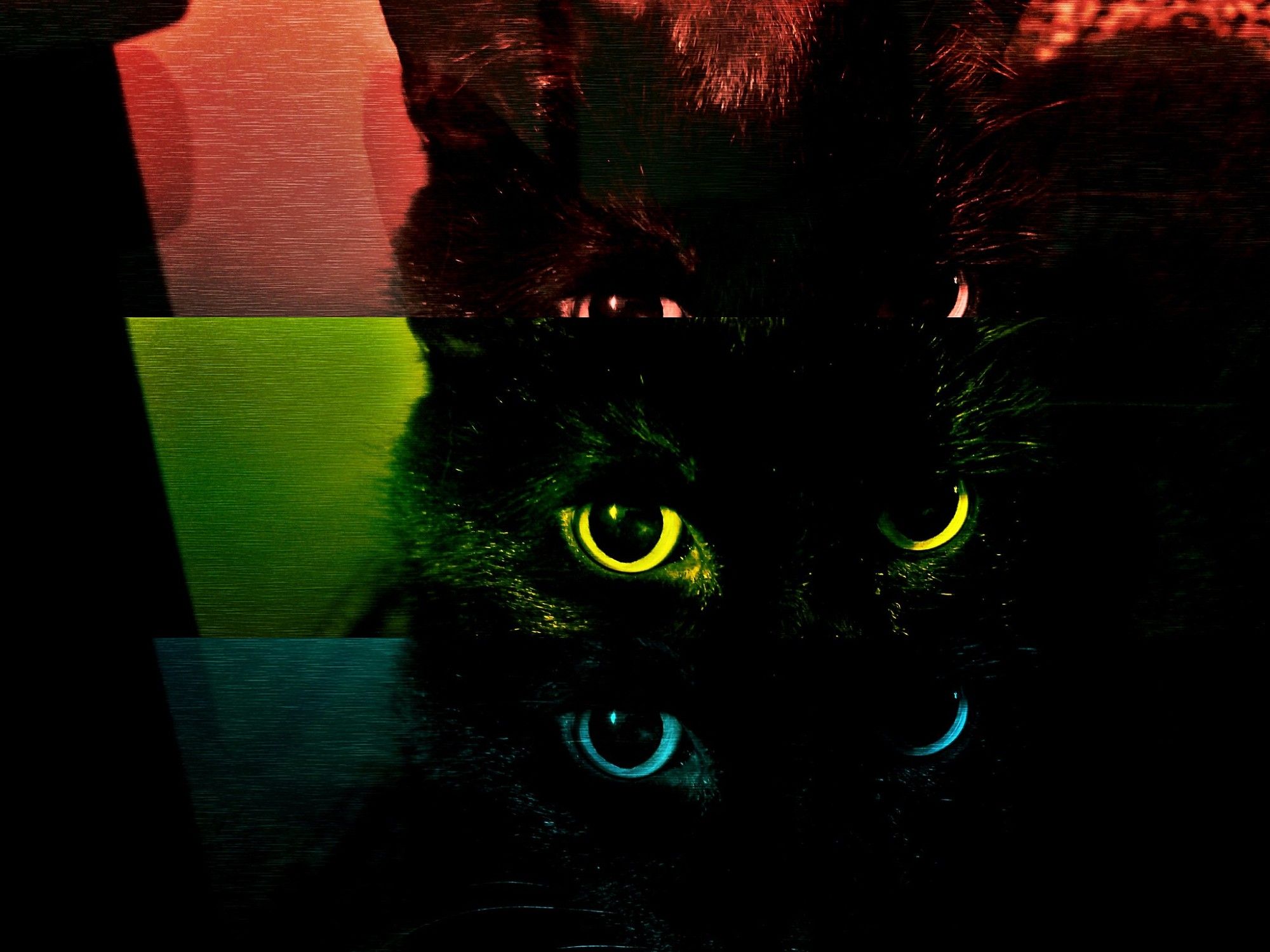 A triptych of Guy Noir’s eyes with color stripes, from top to bottom: red background with the black cat’s eye area showing black and his eyes glowing red; then green with his eyes glowing yellow; finally blue with his eyes glowing blue.