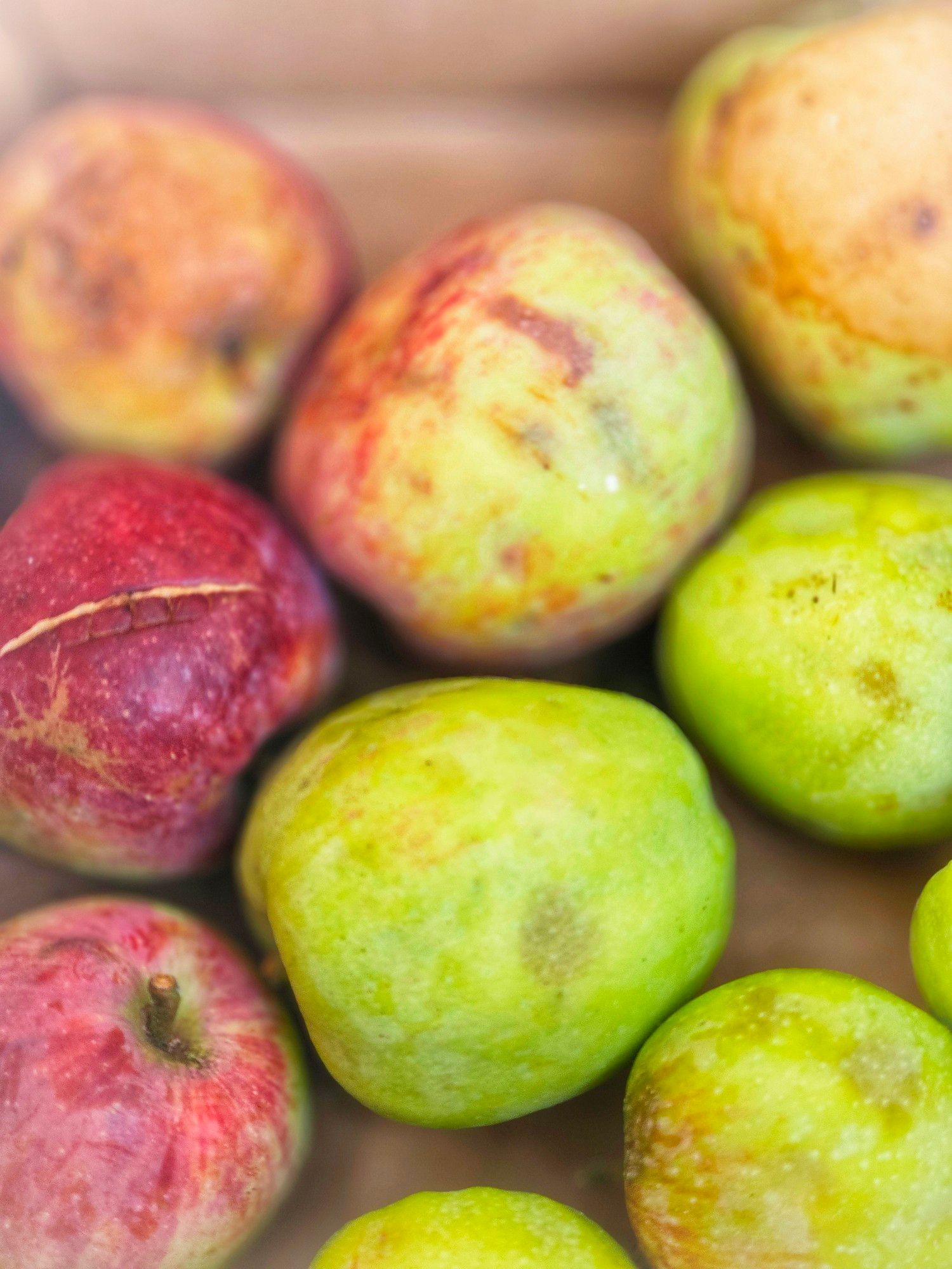 Various heritage apples in shades of red, green and orange, sit in a cardboard box in the sharing shed