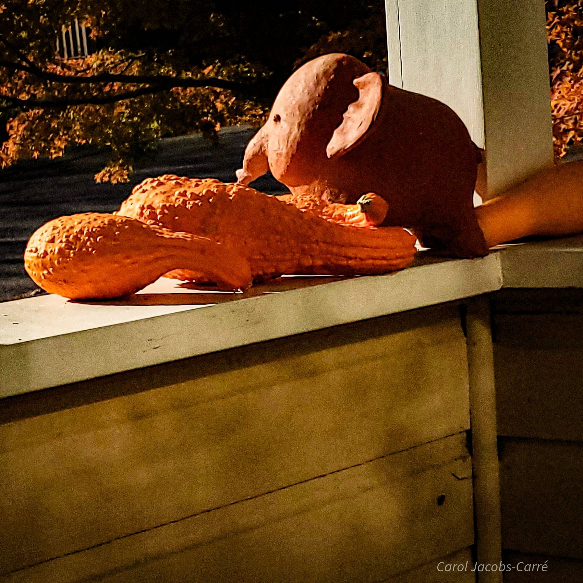 A rough impressionist red clay elephant sits on the corner of a porch railing. There are three warty orange squashes next to it on the left, and a fourth can be seen on the right. The light is early morning bright, with elongated shadows. The dimly seen background is a tree full of orange leaves.