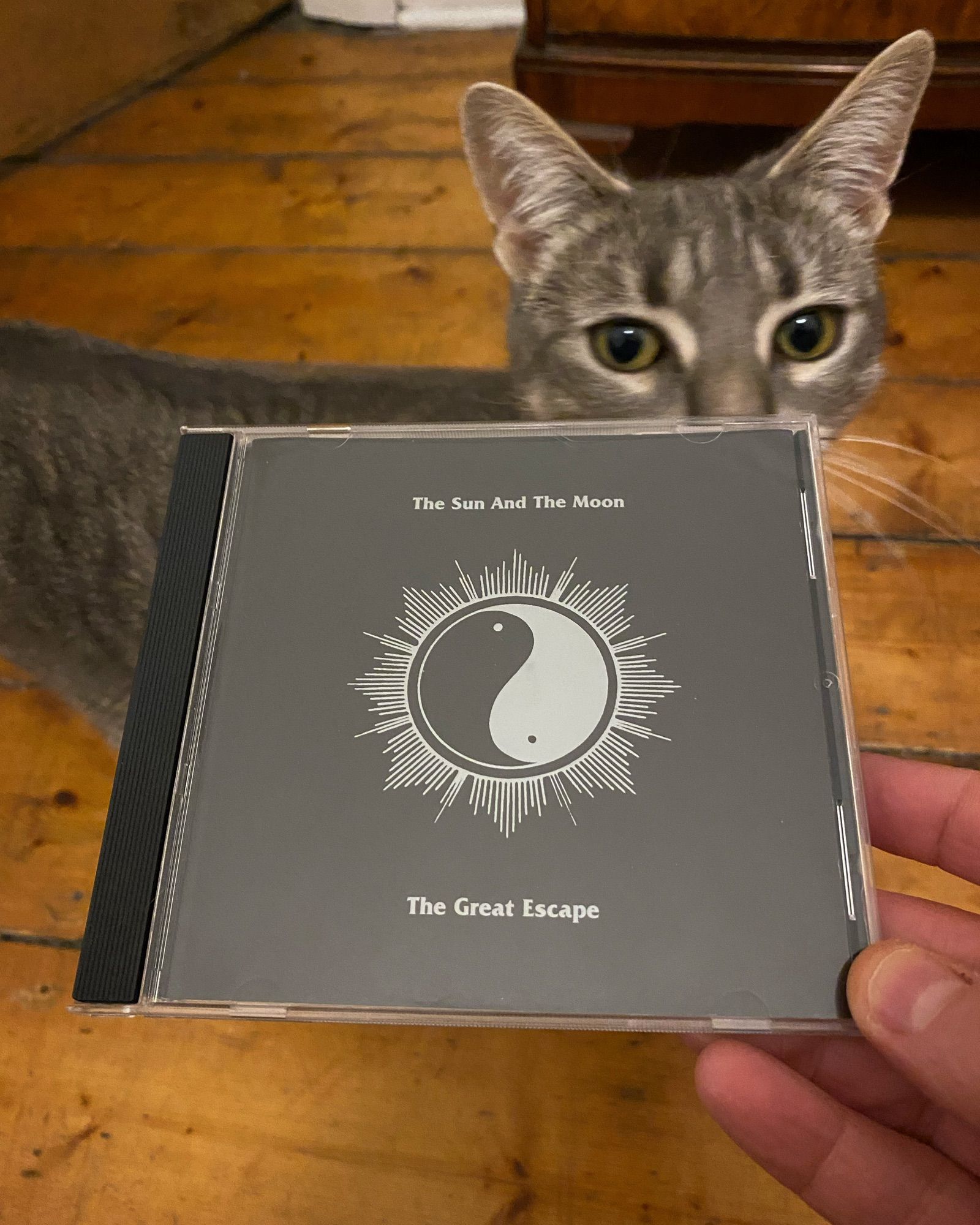 The CD “The Great Escape” by The Sun and the Moon. Spike the cat is in the background.