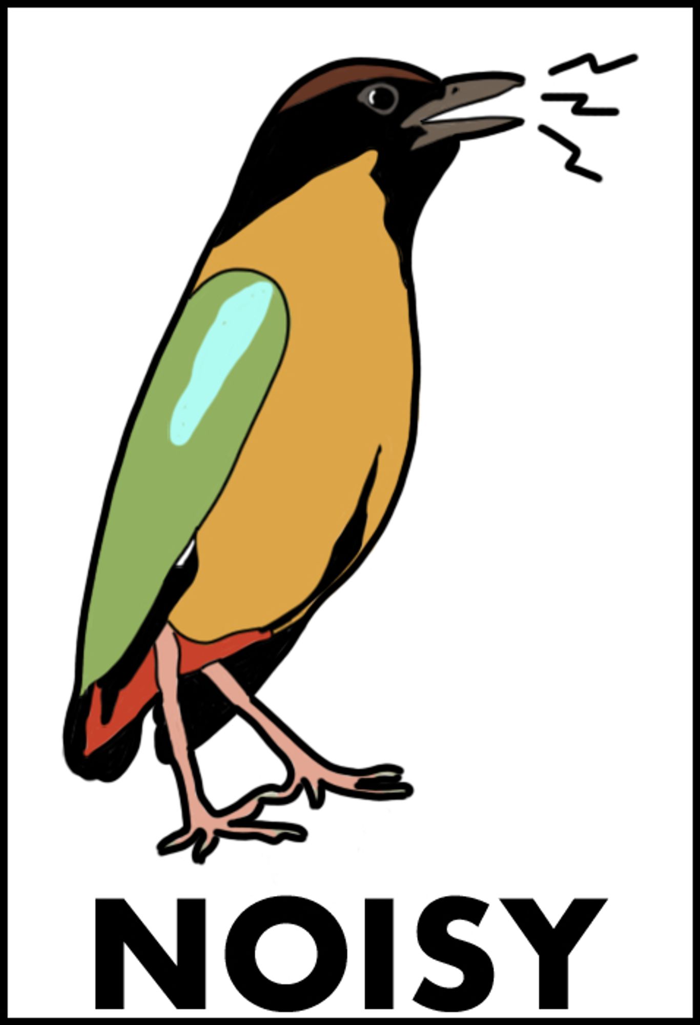 Noisy Pitta sticker design 2