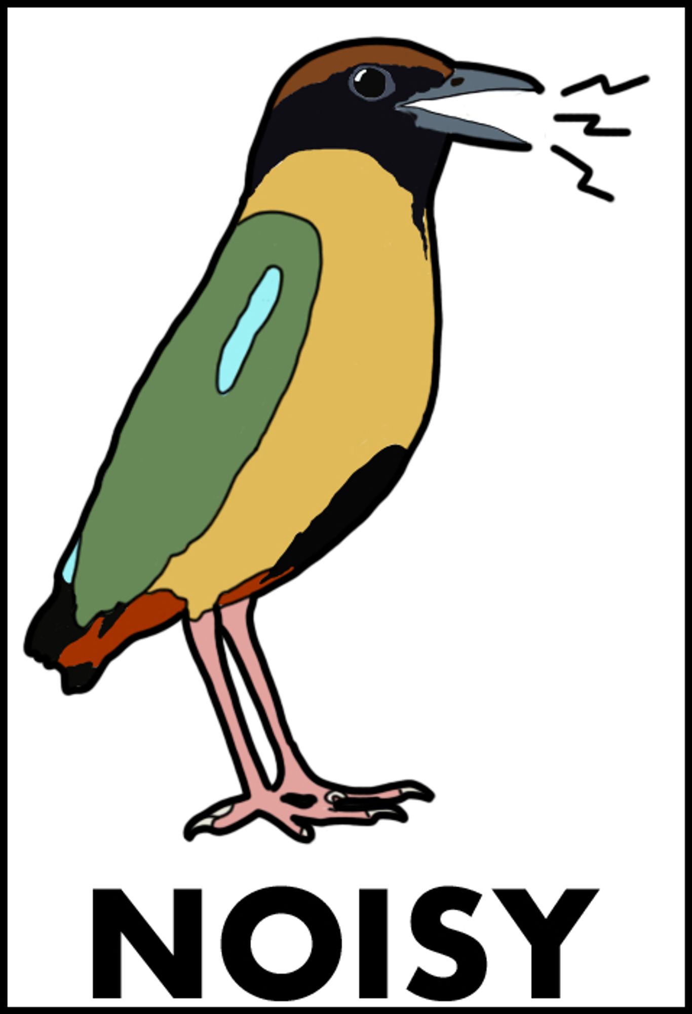 Noisy Pitta sticker design 1