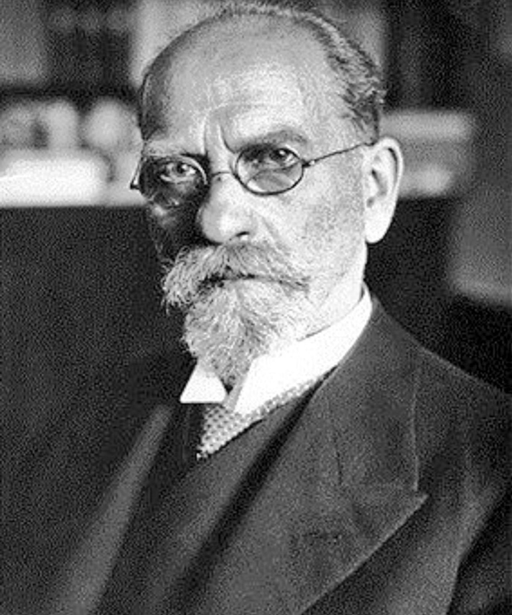 Obwohl 1933 entlassen (1936 erhielt er zusätzlich Berufsverbot aufgrund der Nürnberger Gesetze), hielt Husserl bis zu seinem Tod nach einem Unfall Vorlesungen, u.a. auch in London, Paris, Prag.